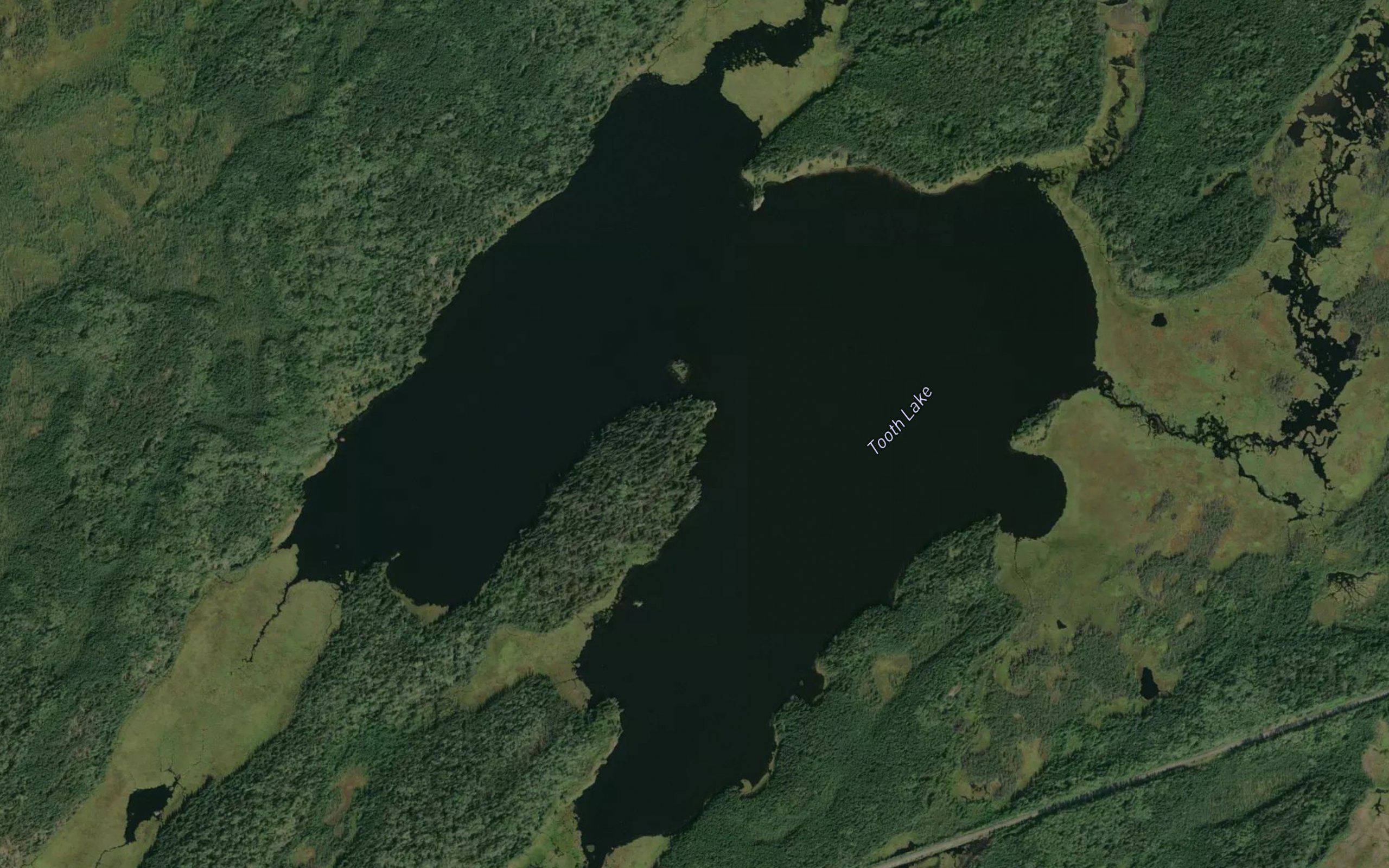 Tooth Lake