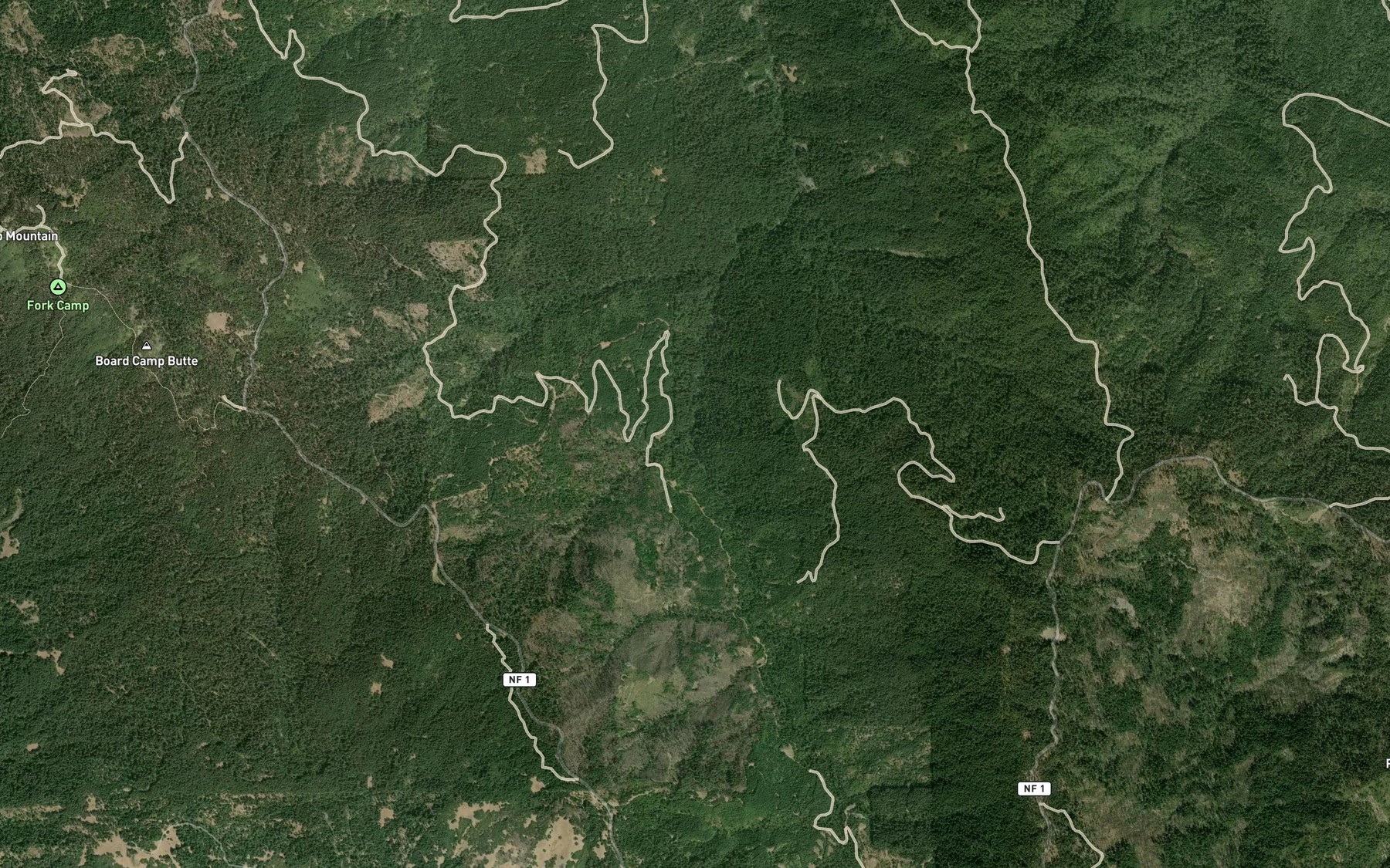 Satellite map of the Carson Creek