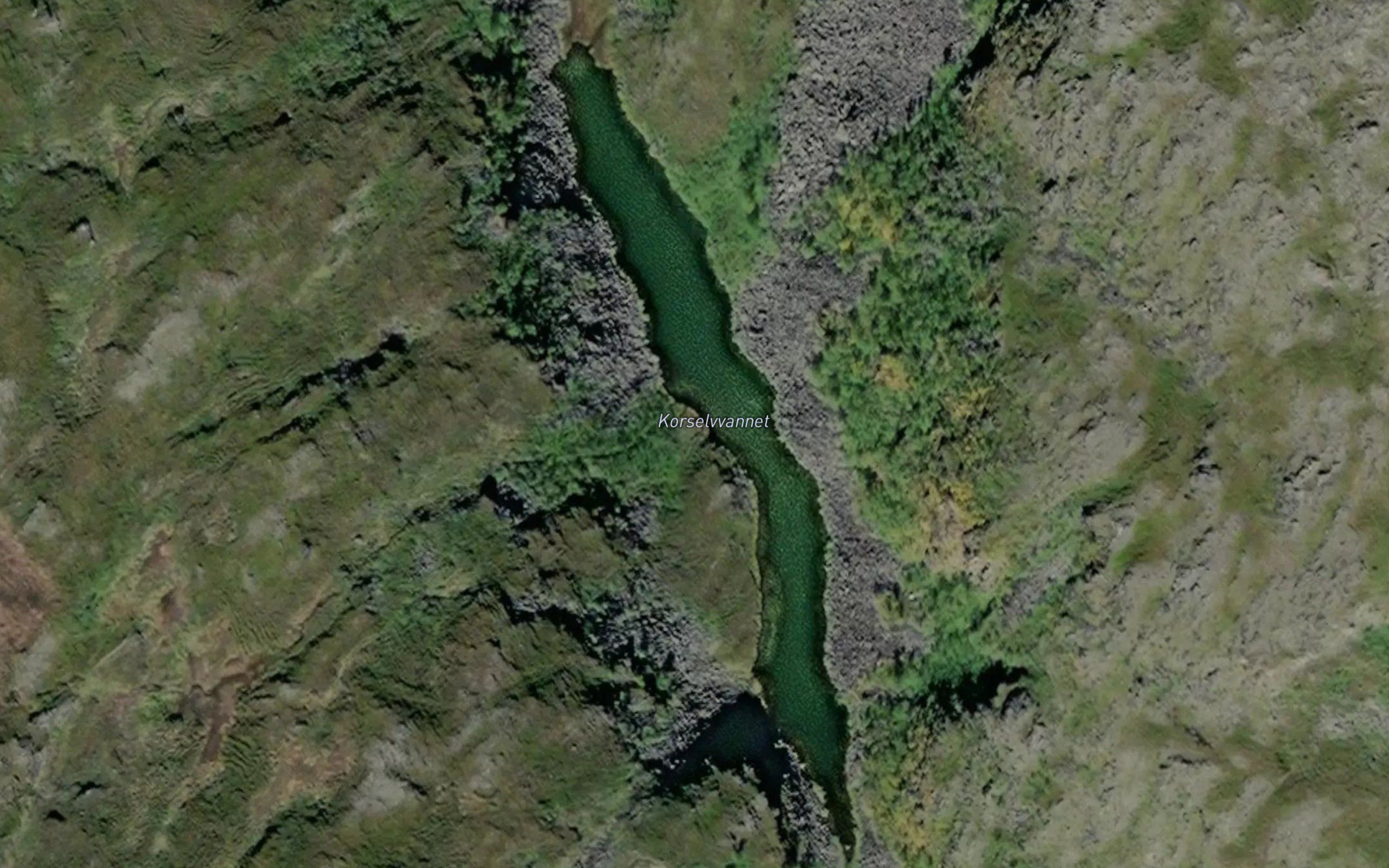 Korselvvannet