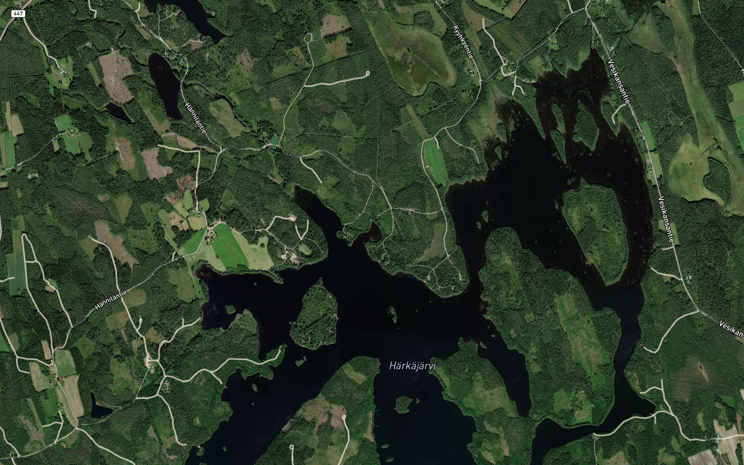 Pikonlahti