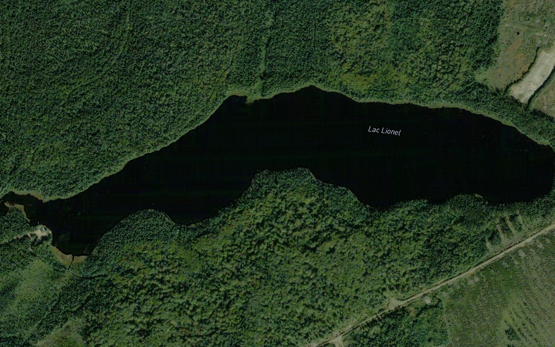 Satellite map of the Lac Lionel