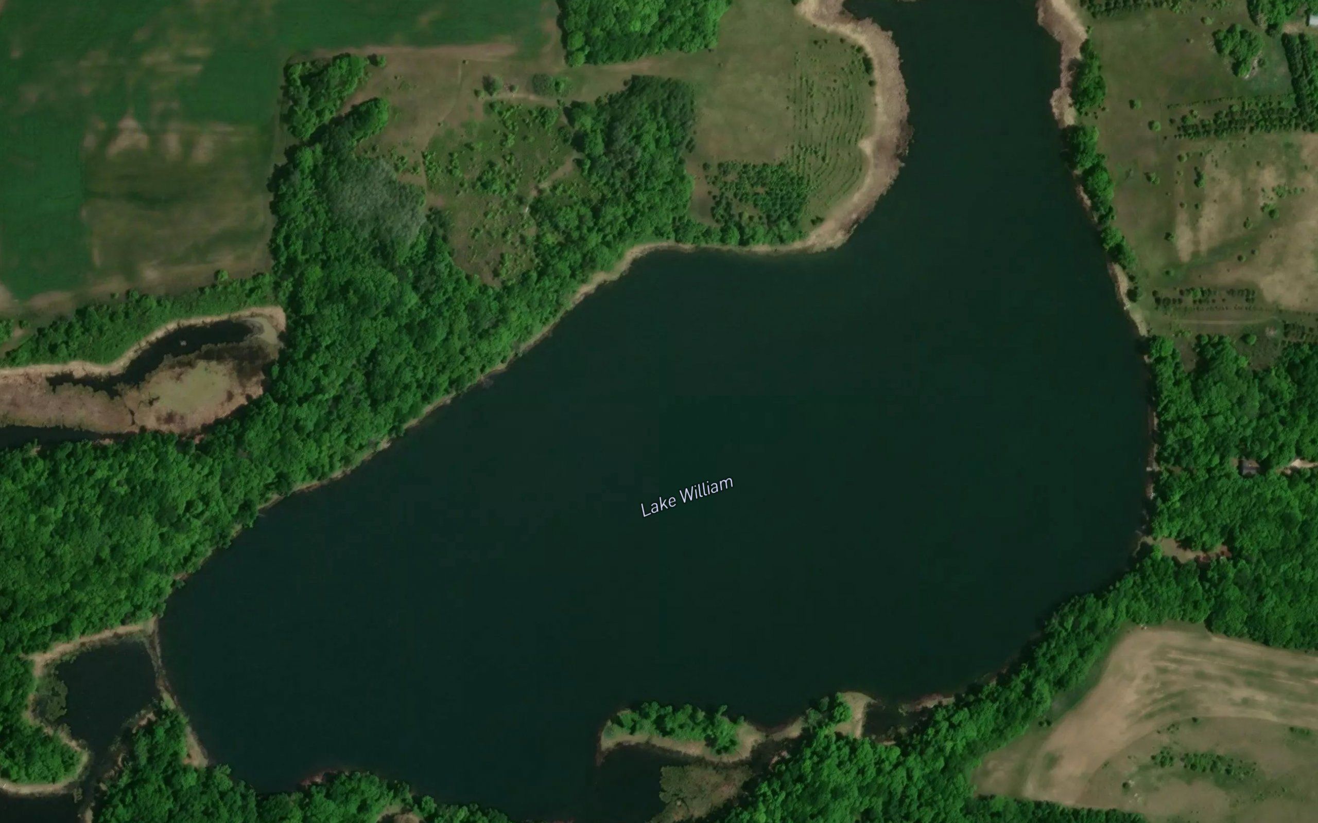 Lake William