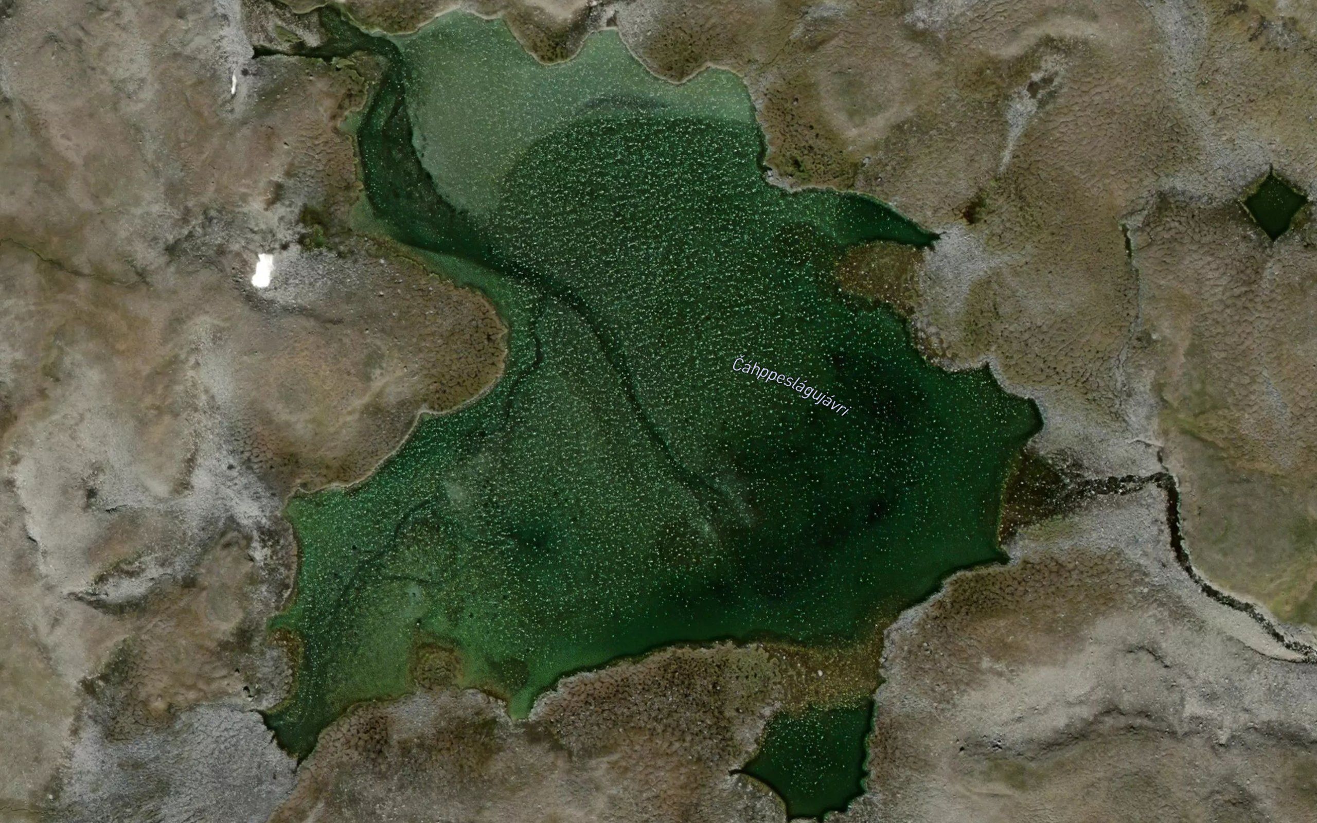 Cahppeslagujavri