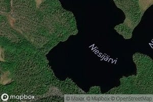 Niesijarvi