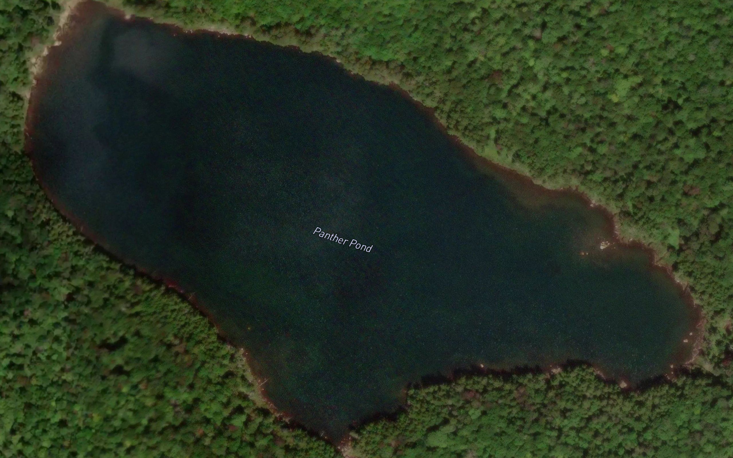 Panther Pond