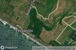 Tecuanillo