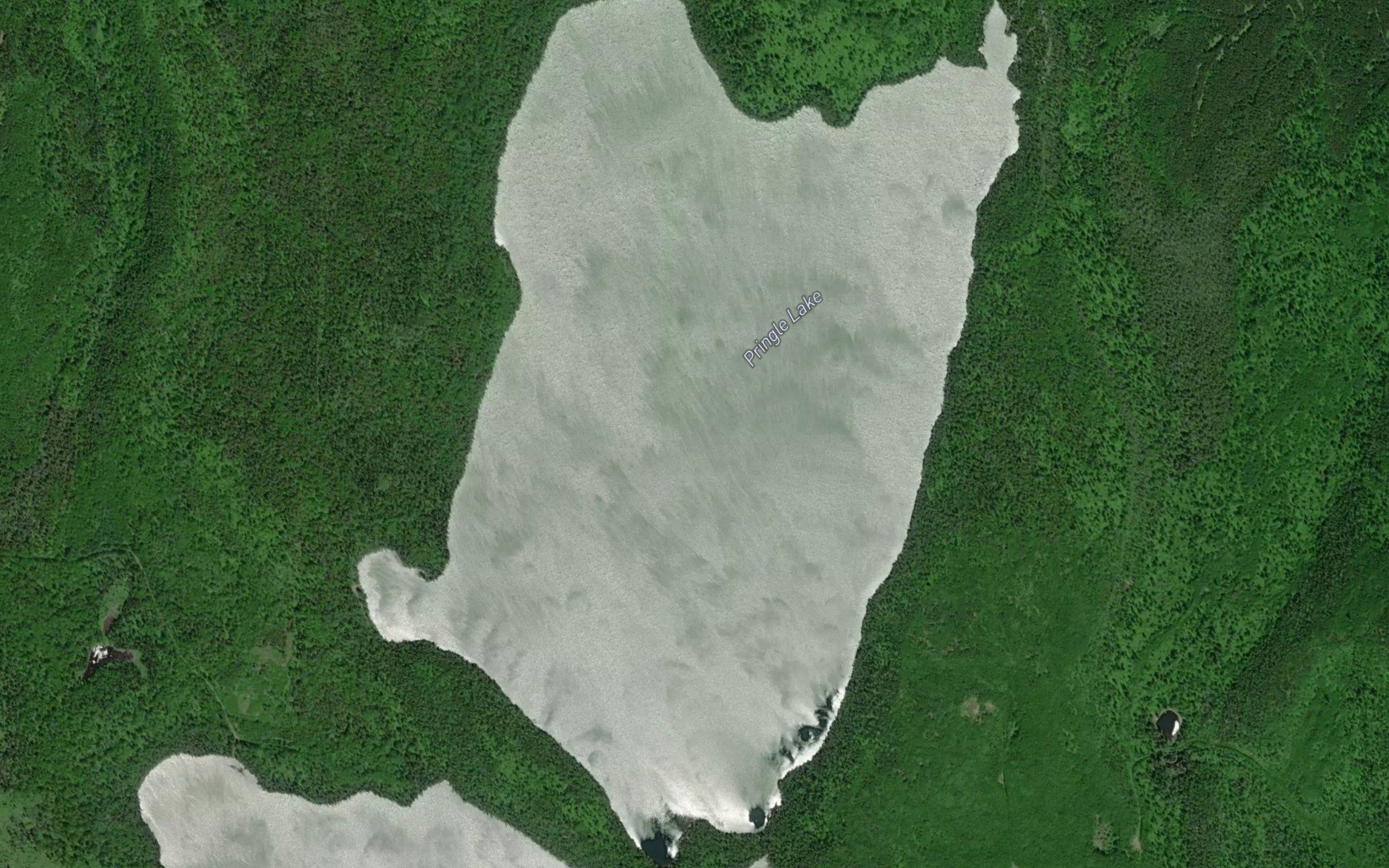 Pringle Lake