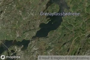 Gronaplasstjorni