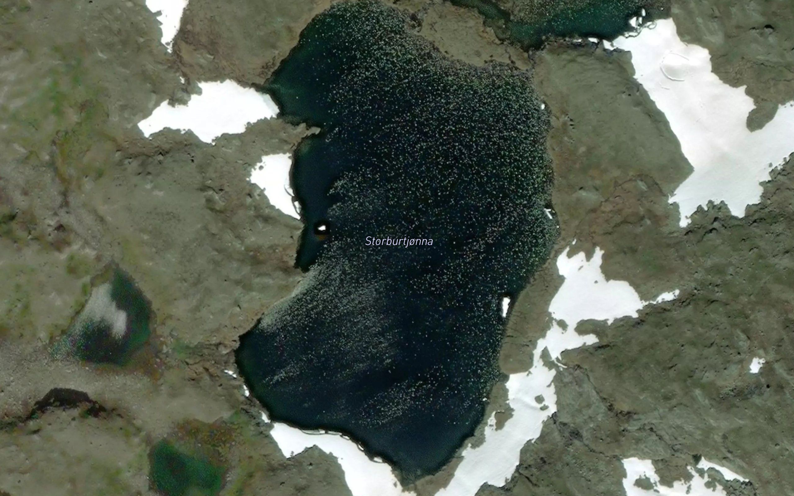 Storburtjorna