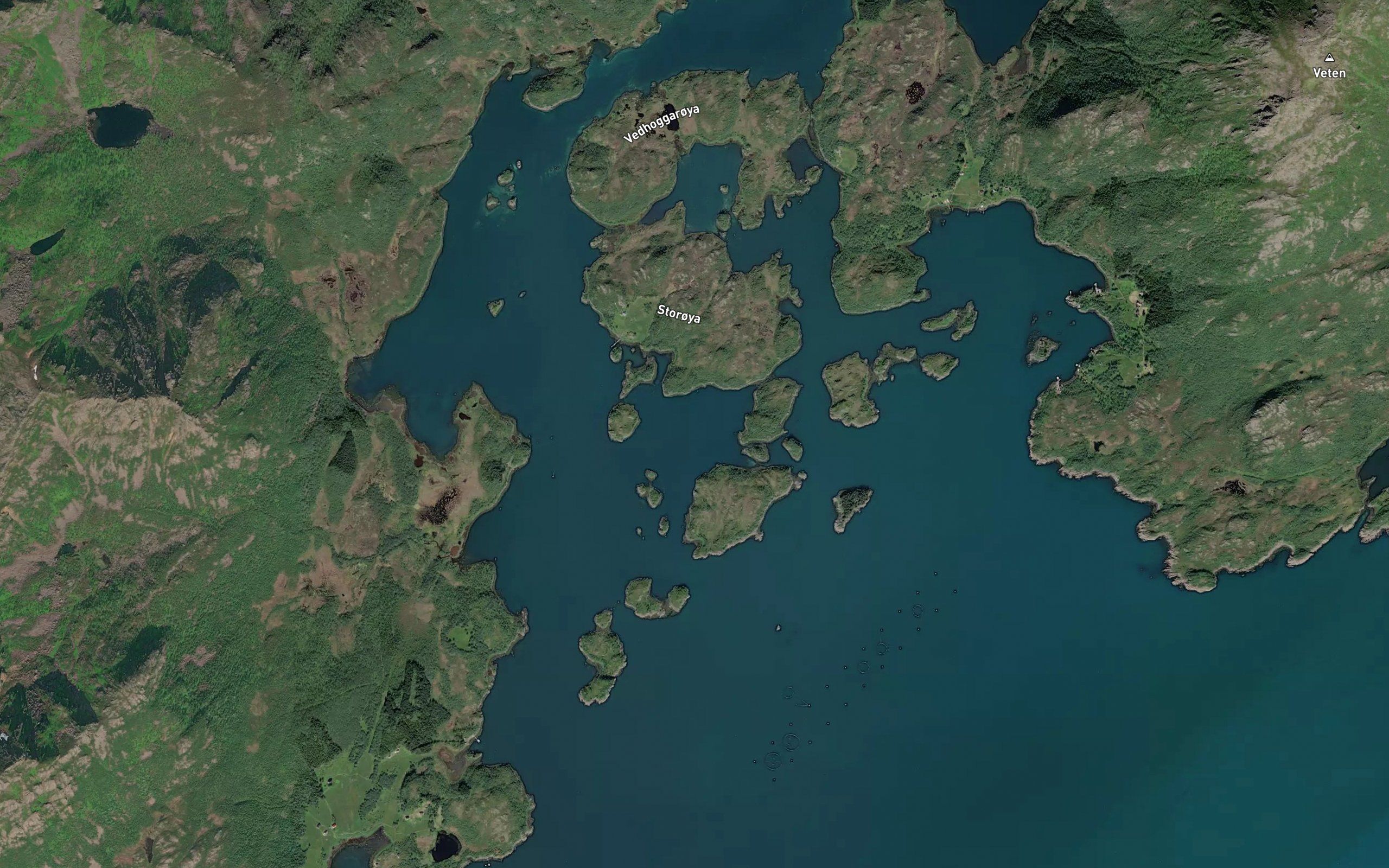 Skittentjonna
