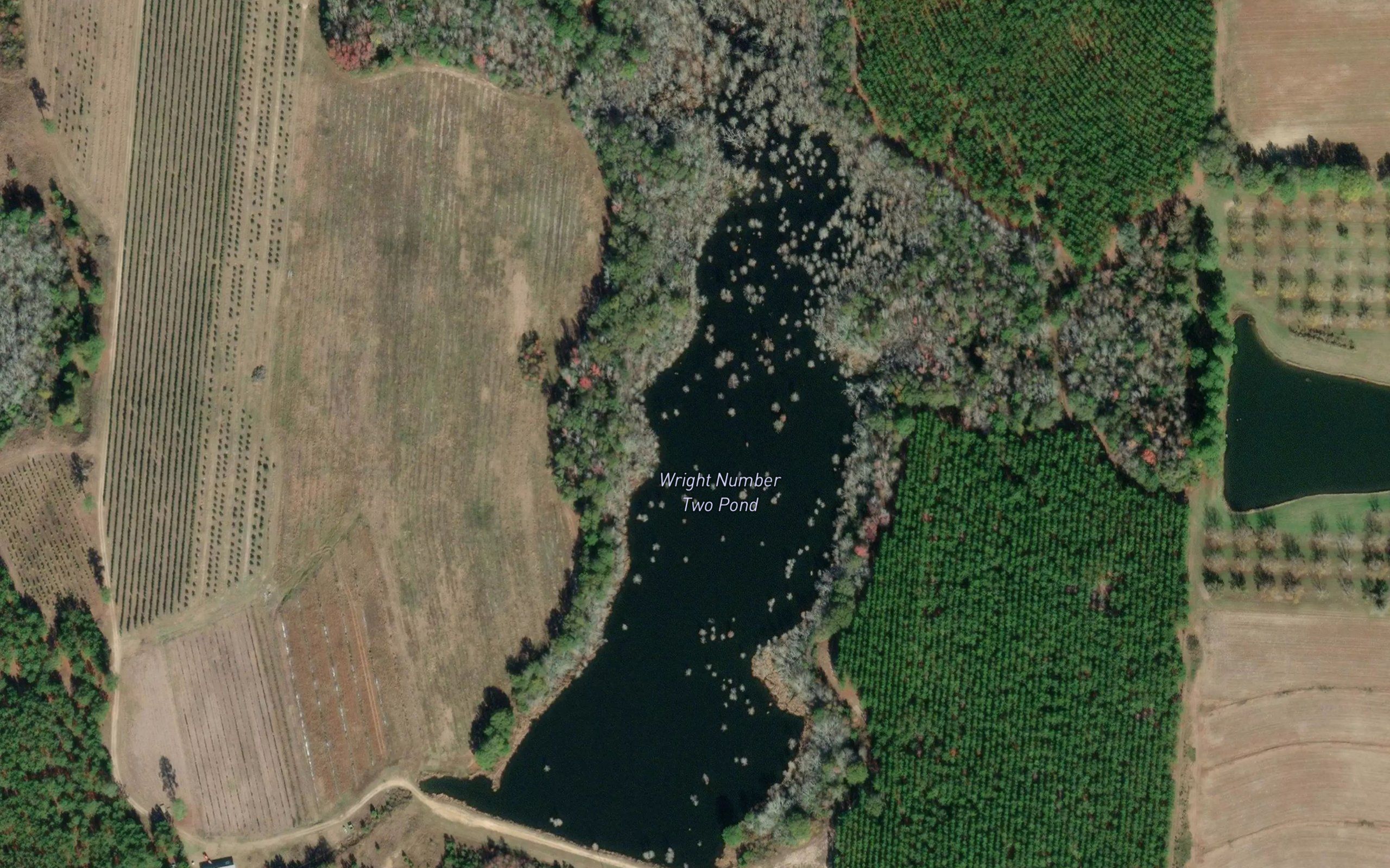 Wright Number Two Pond