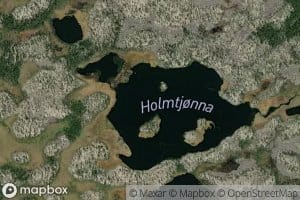 Holmtjorna