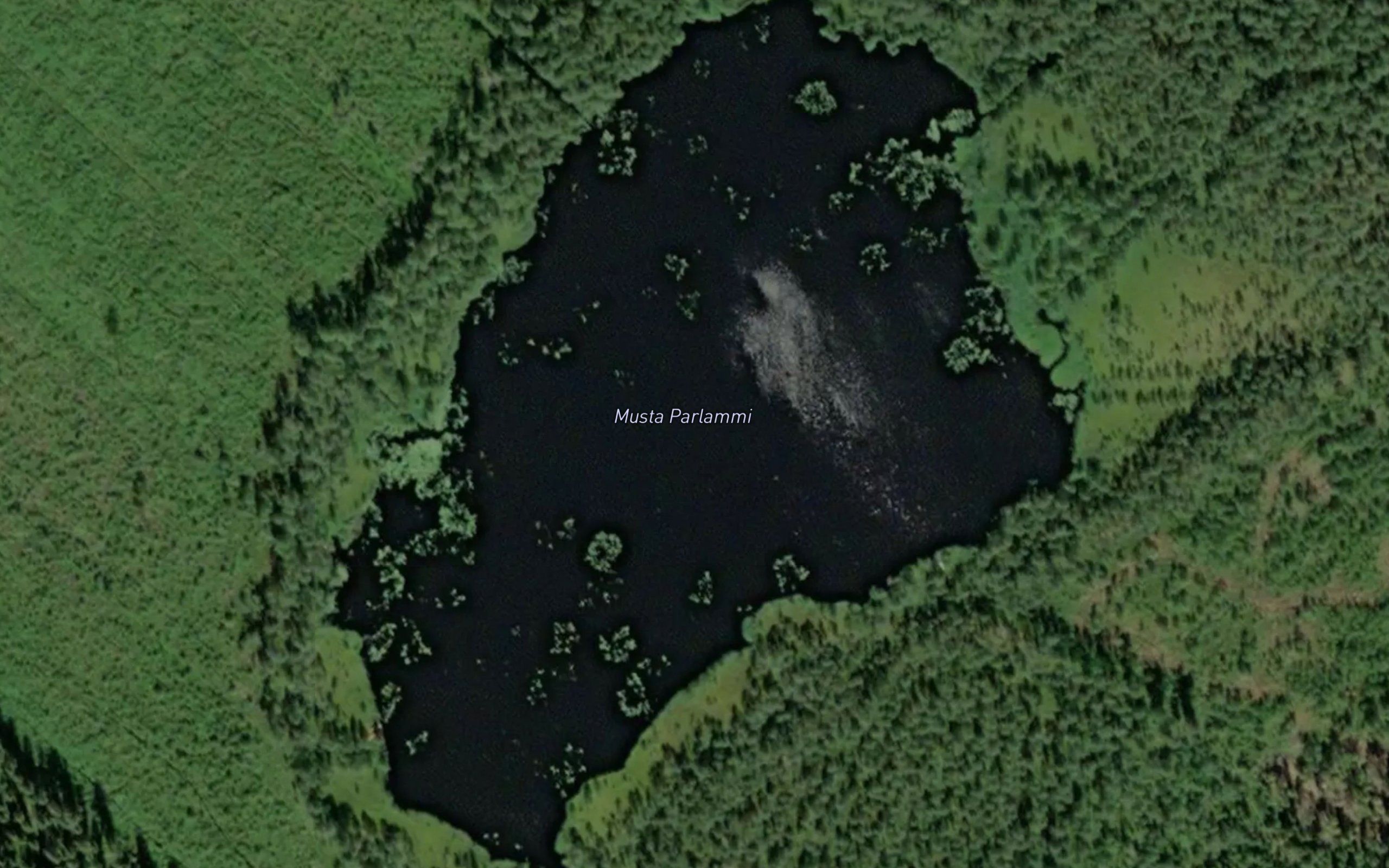 Musta Parlammi