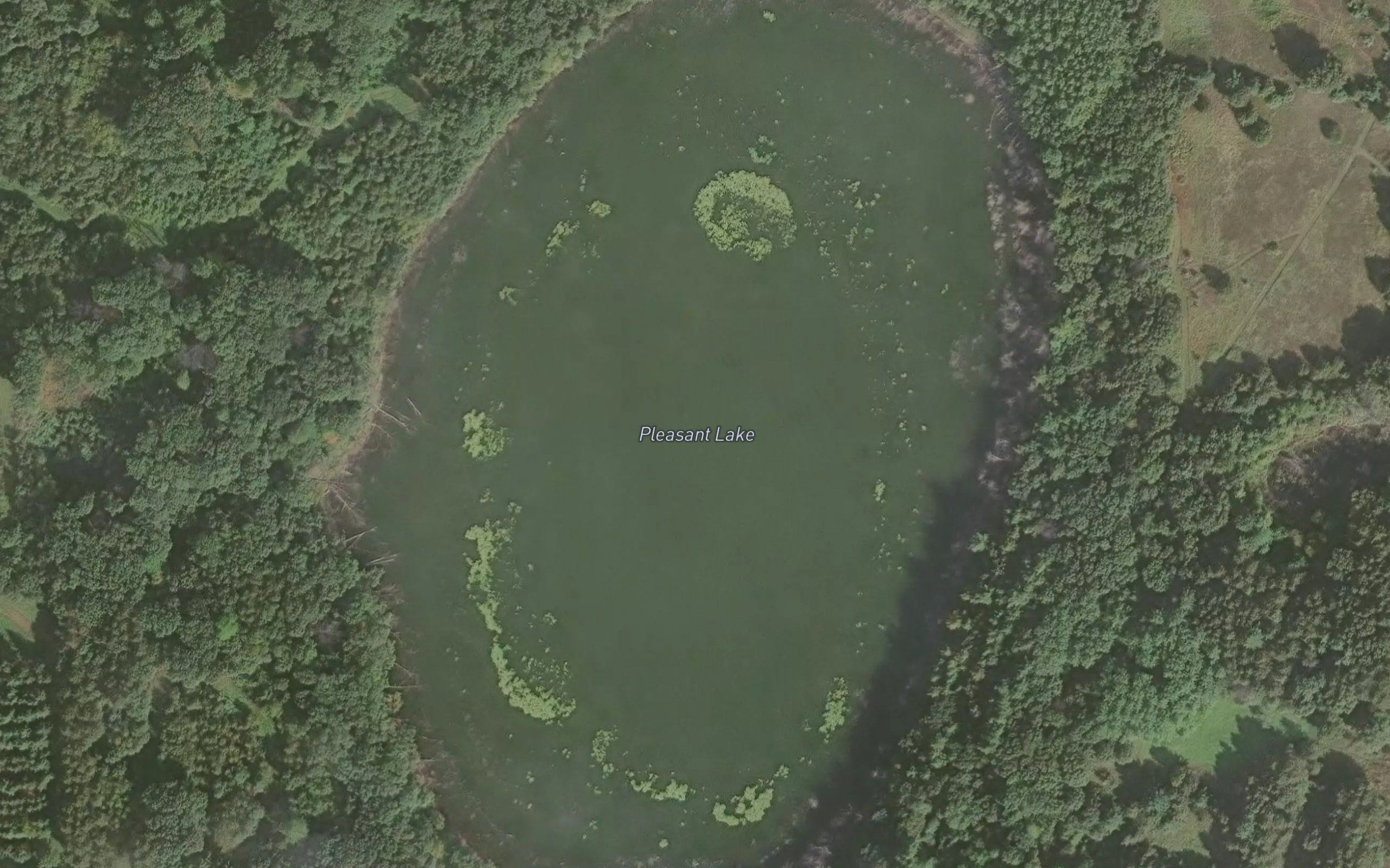Pleasant Lake