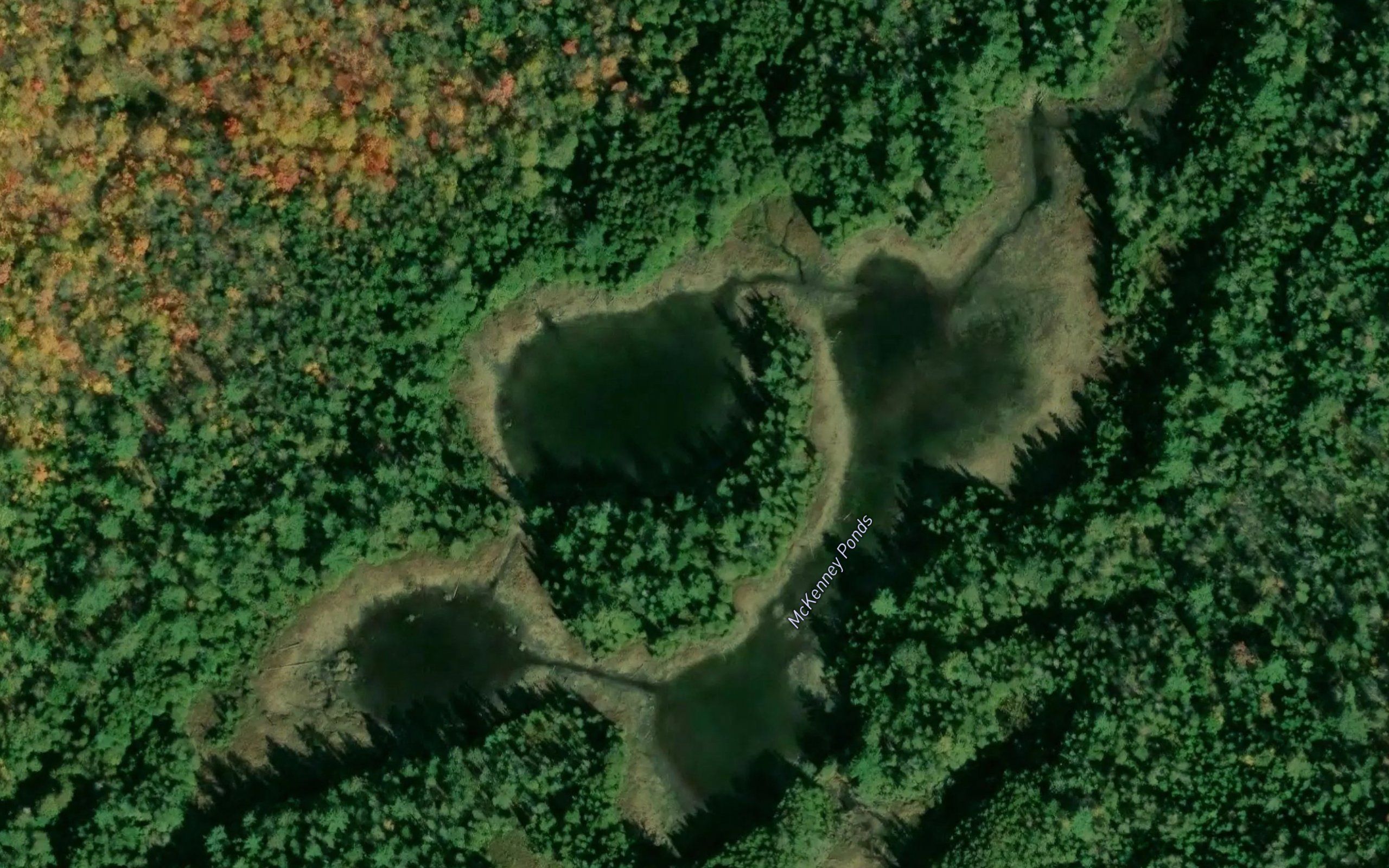 McKenney Ponds