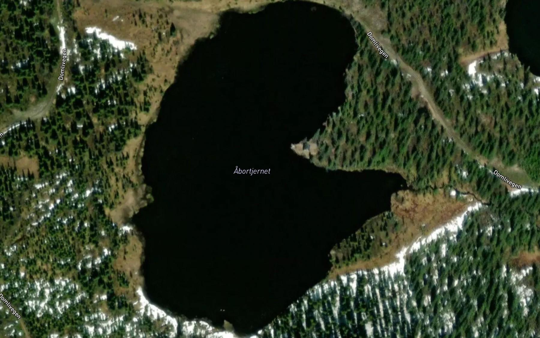 Satellite map of the Store Abortjernet