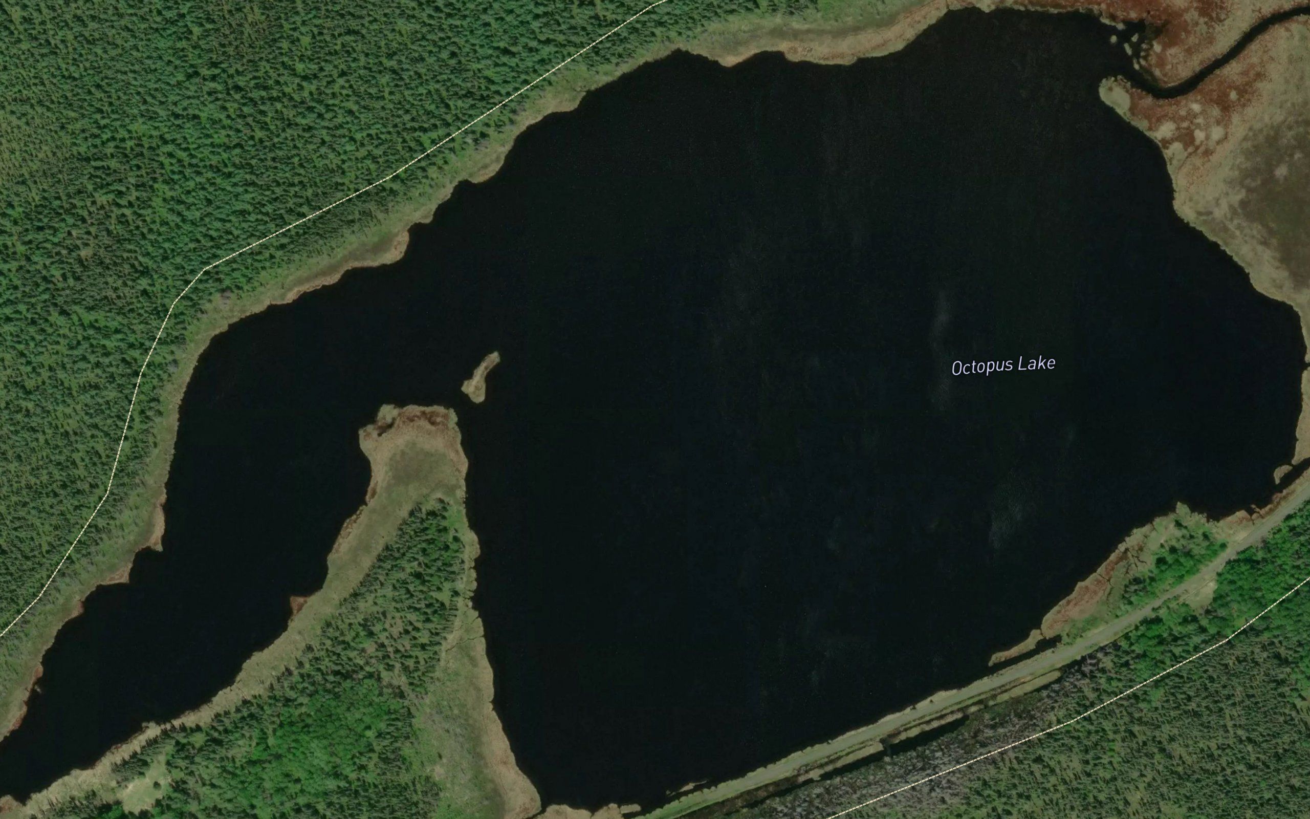 Octopus Lake