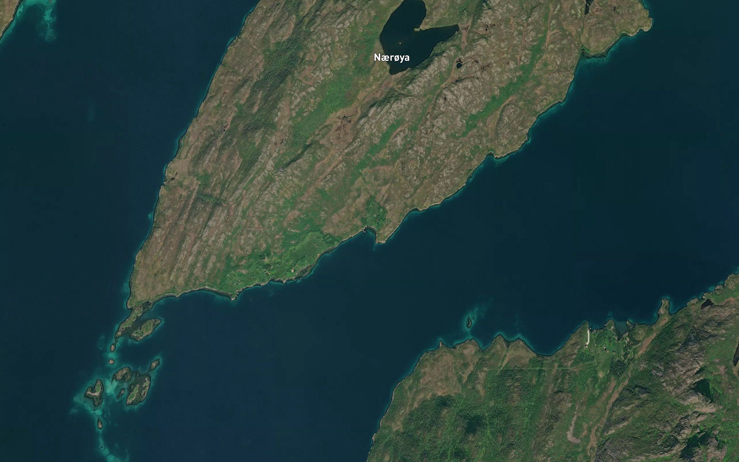 Pervika