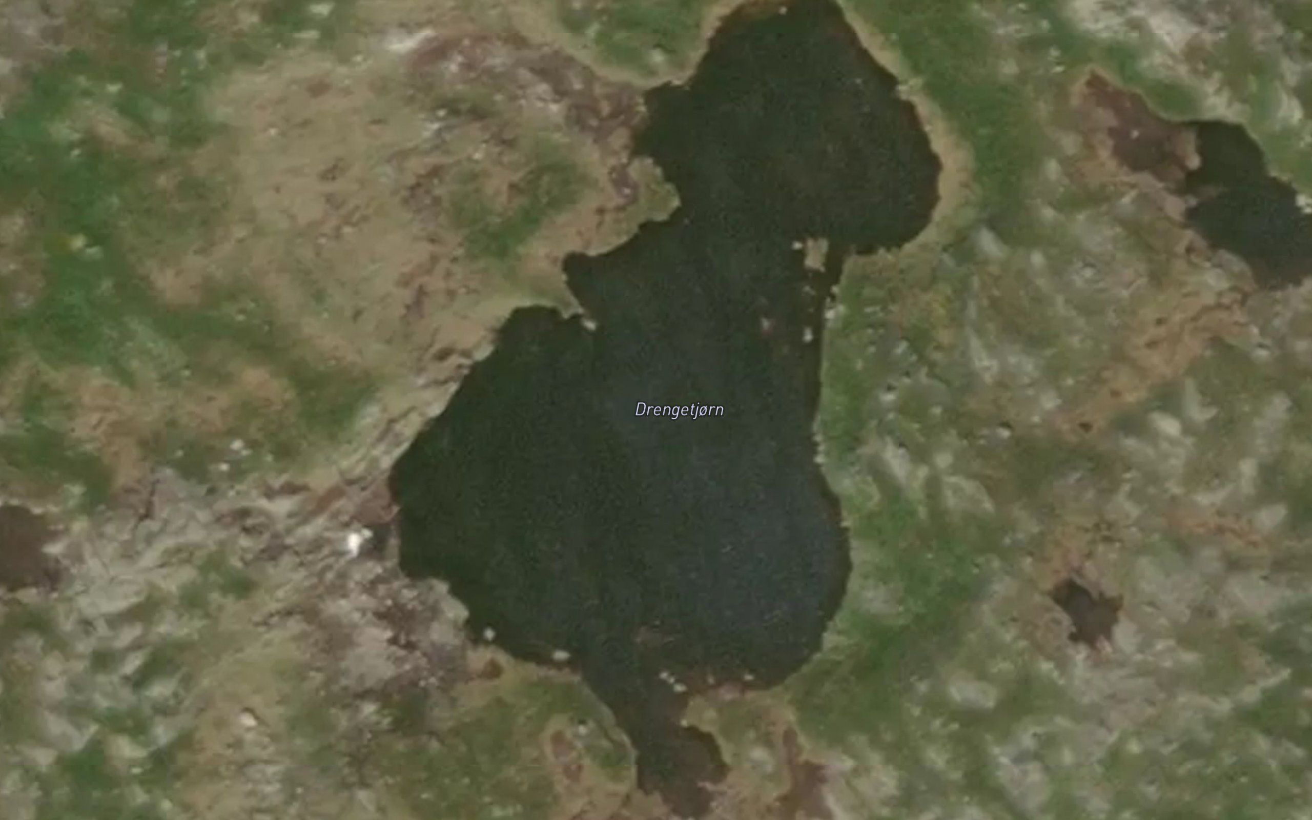 Drengetjorn