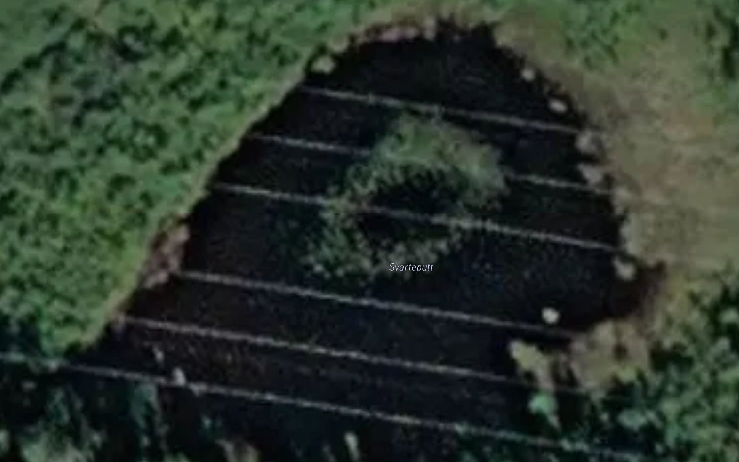 Svarteputt