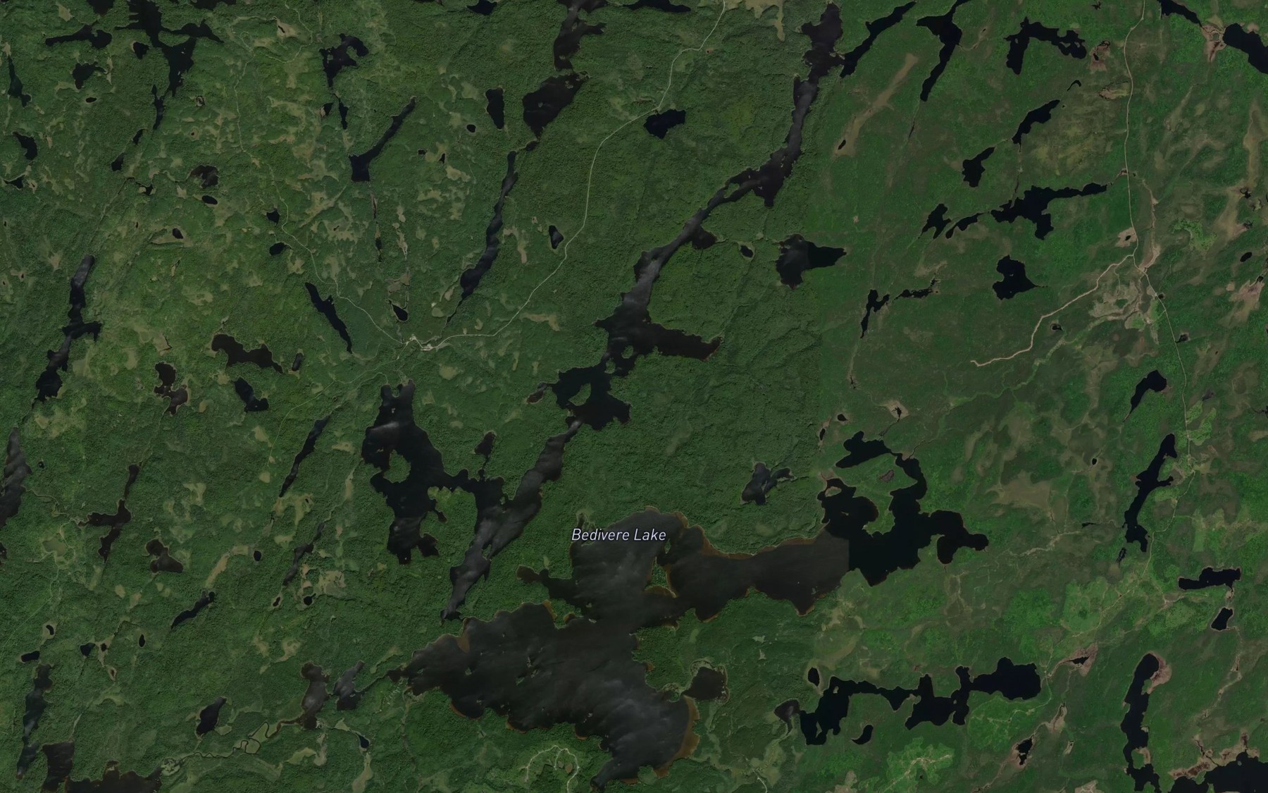 Satellite map of the Bedivere Lake