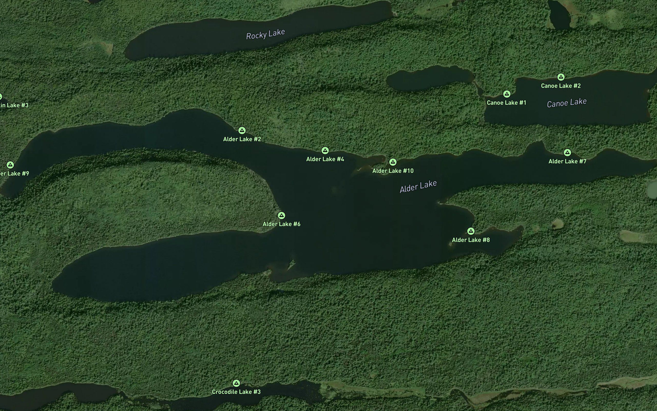 Alder Lake