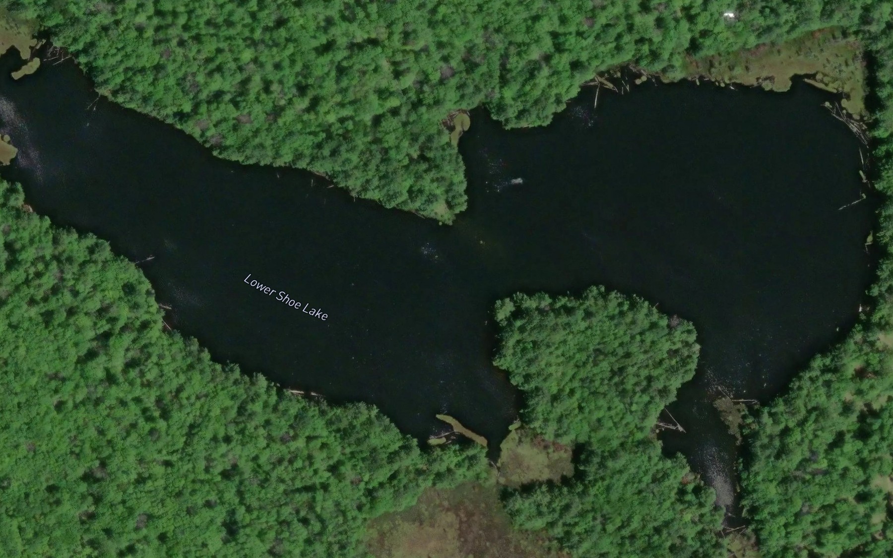 Satellite map of the Lower Shoe Lake