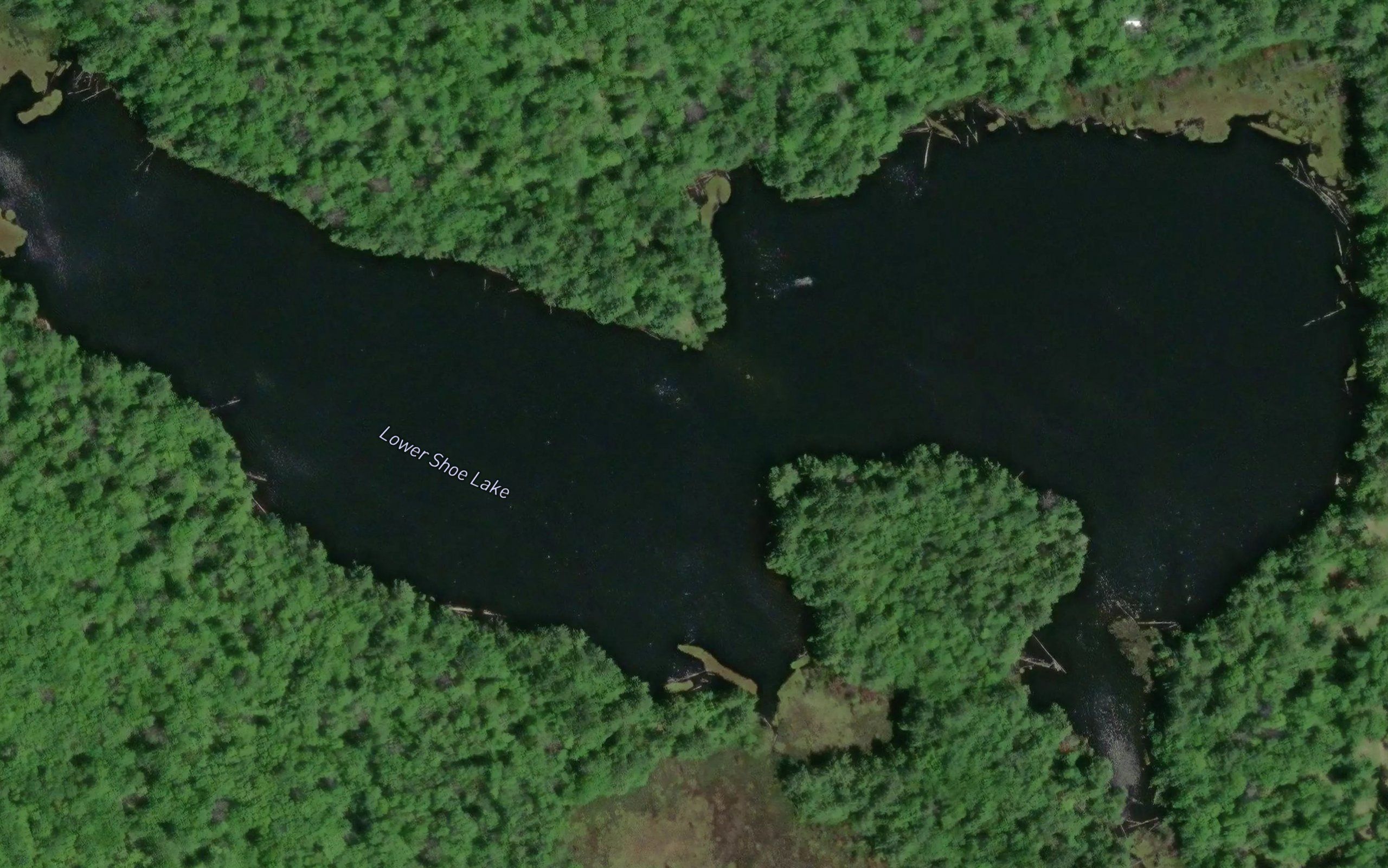 Lower Shoe Lake