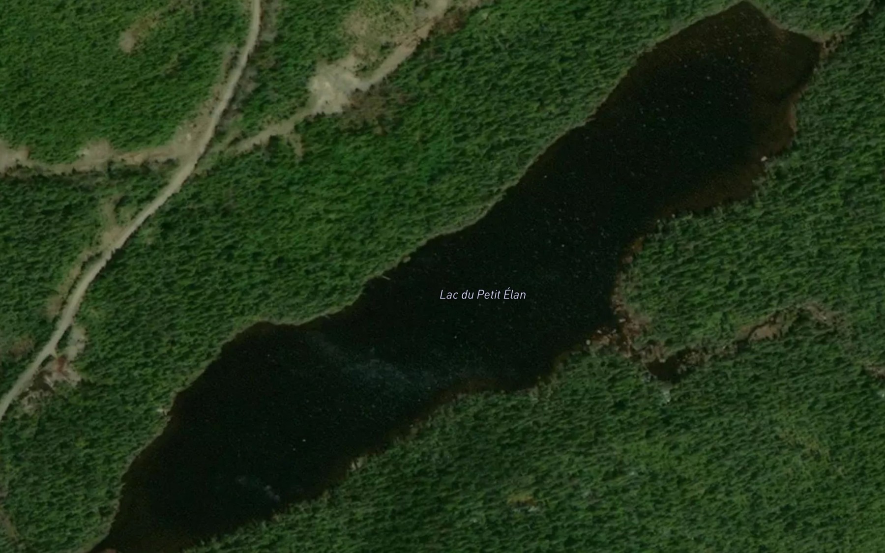 Satellite map of the Lac du Petit Elan