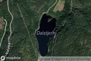 Dalstjern