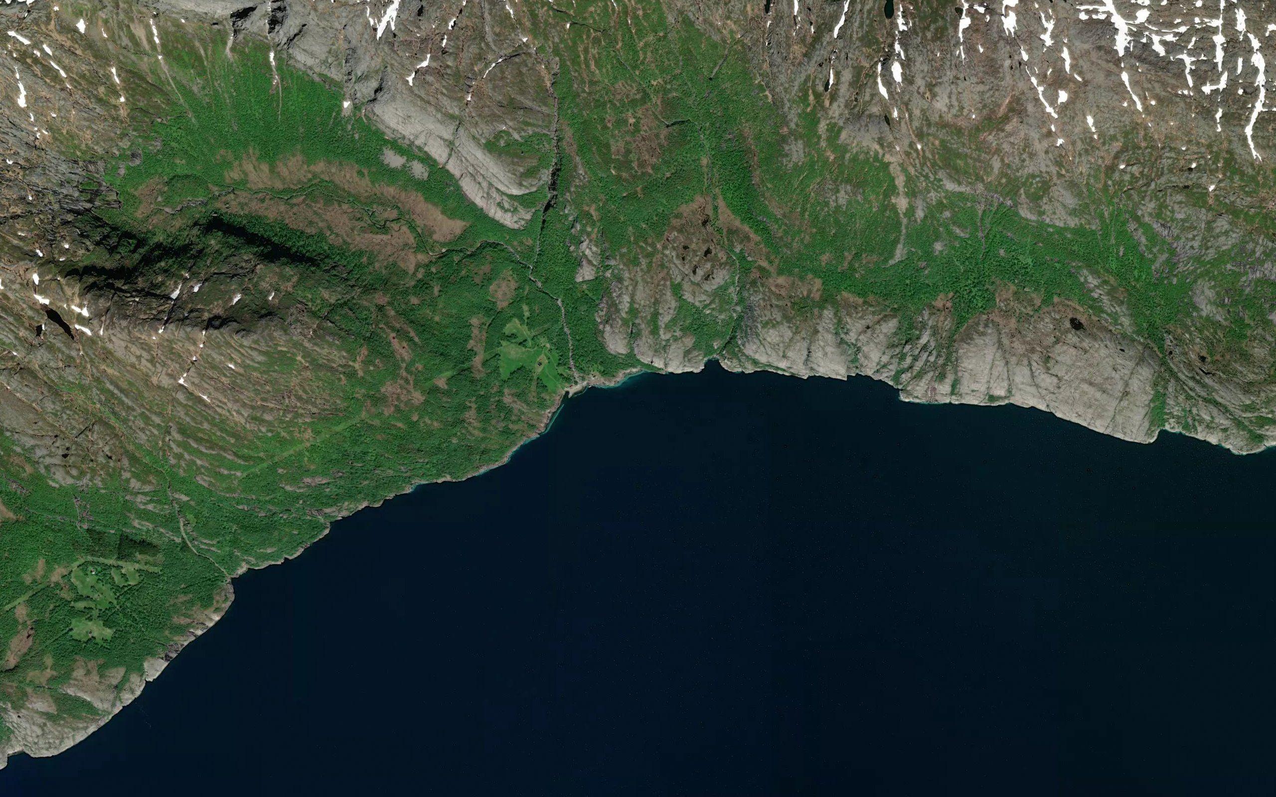 Juvika