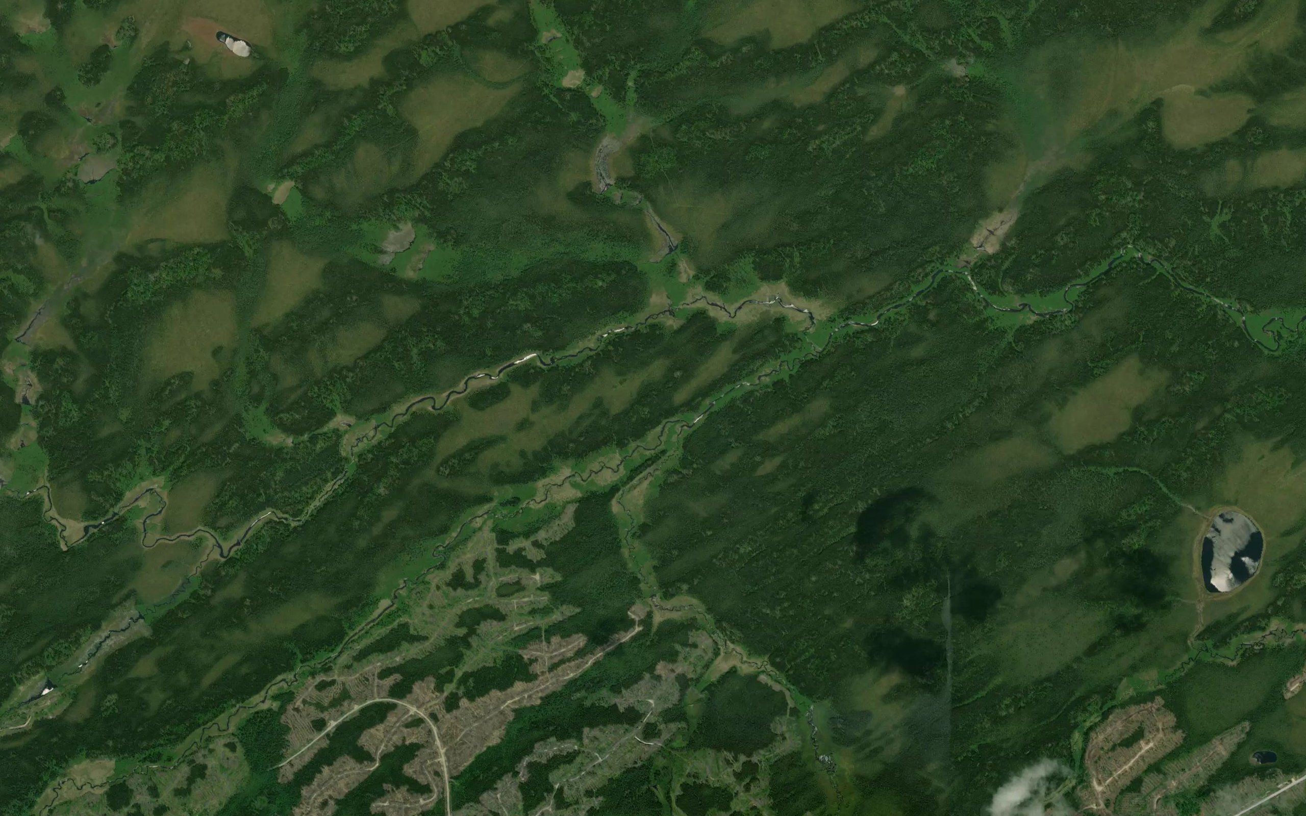 Teal Creek