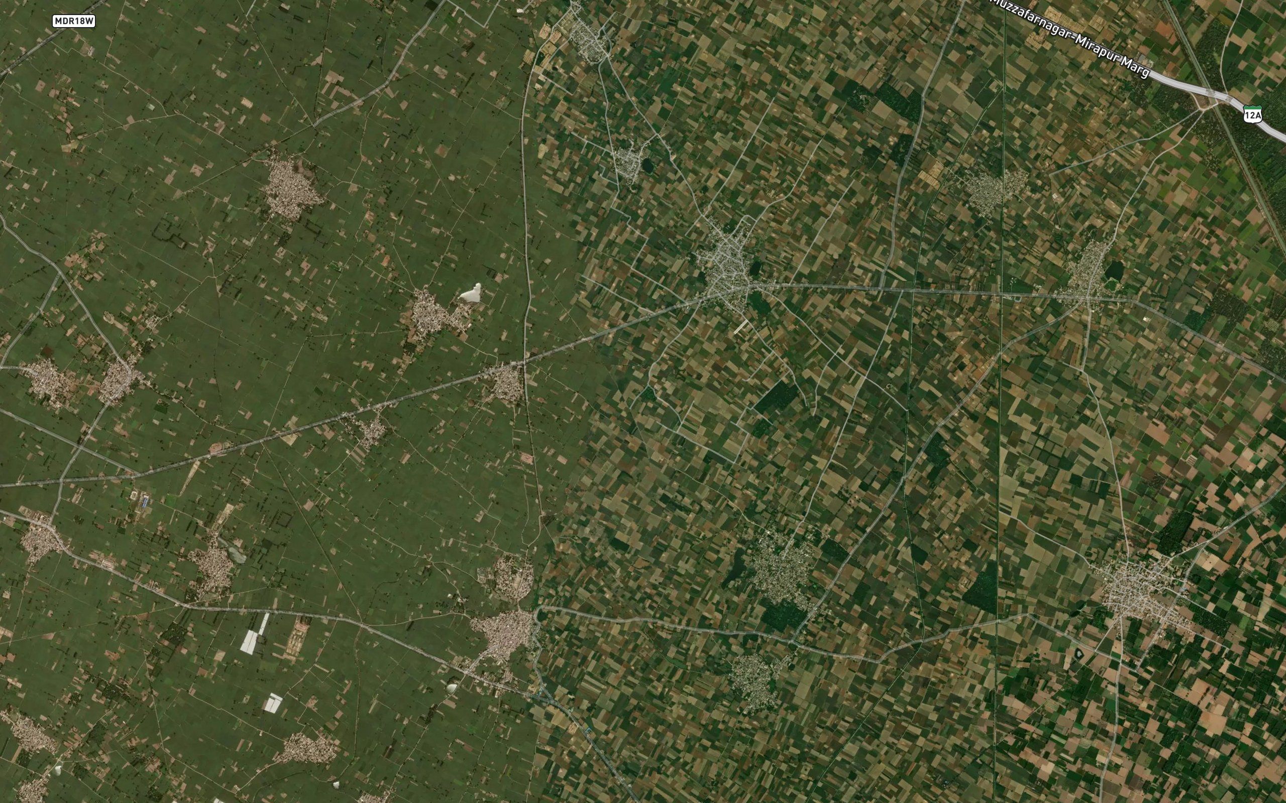 Pimora Distributary