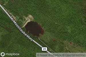 Blueberry Mountain Brook