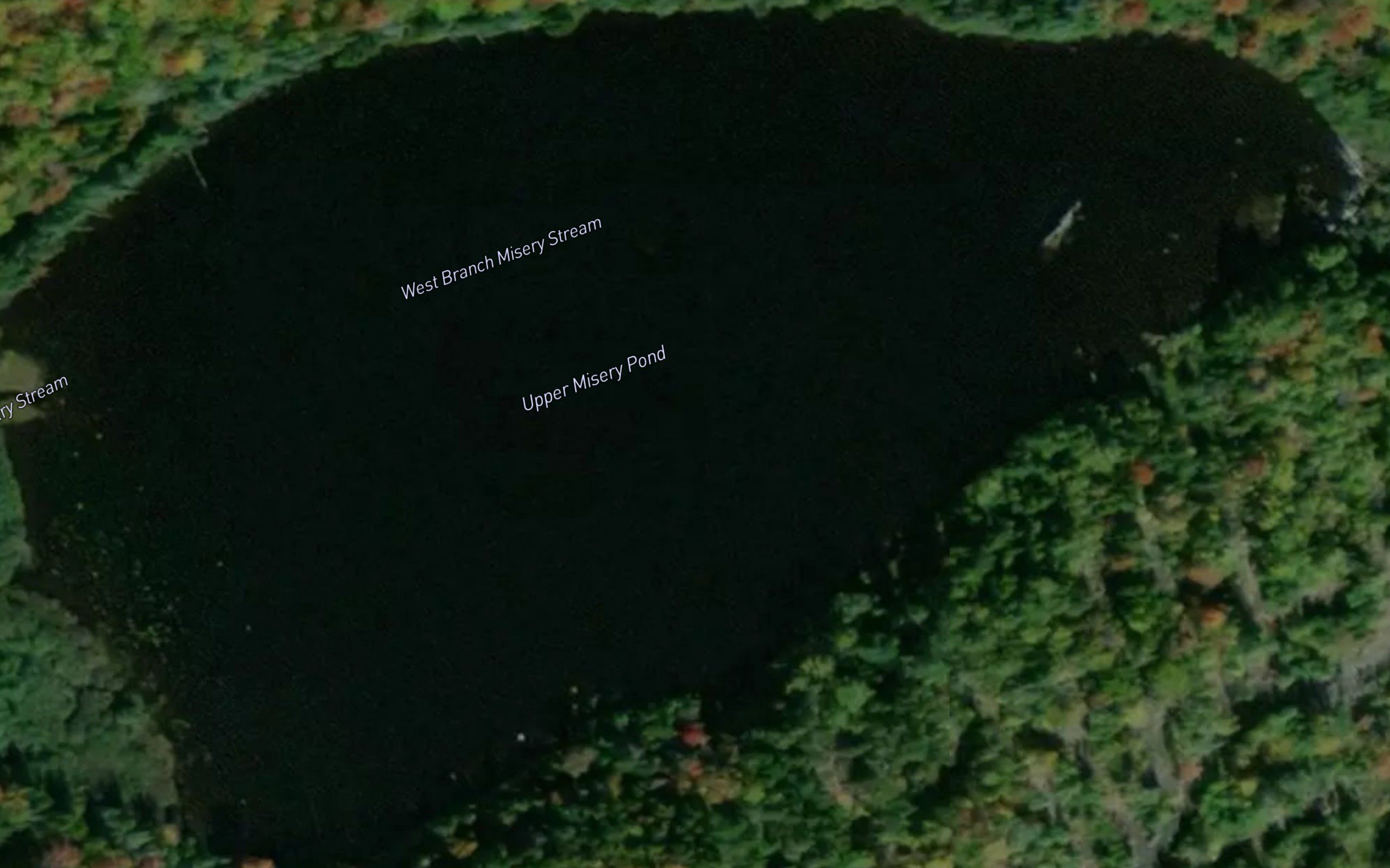 Upper Misery Pond