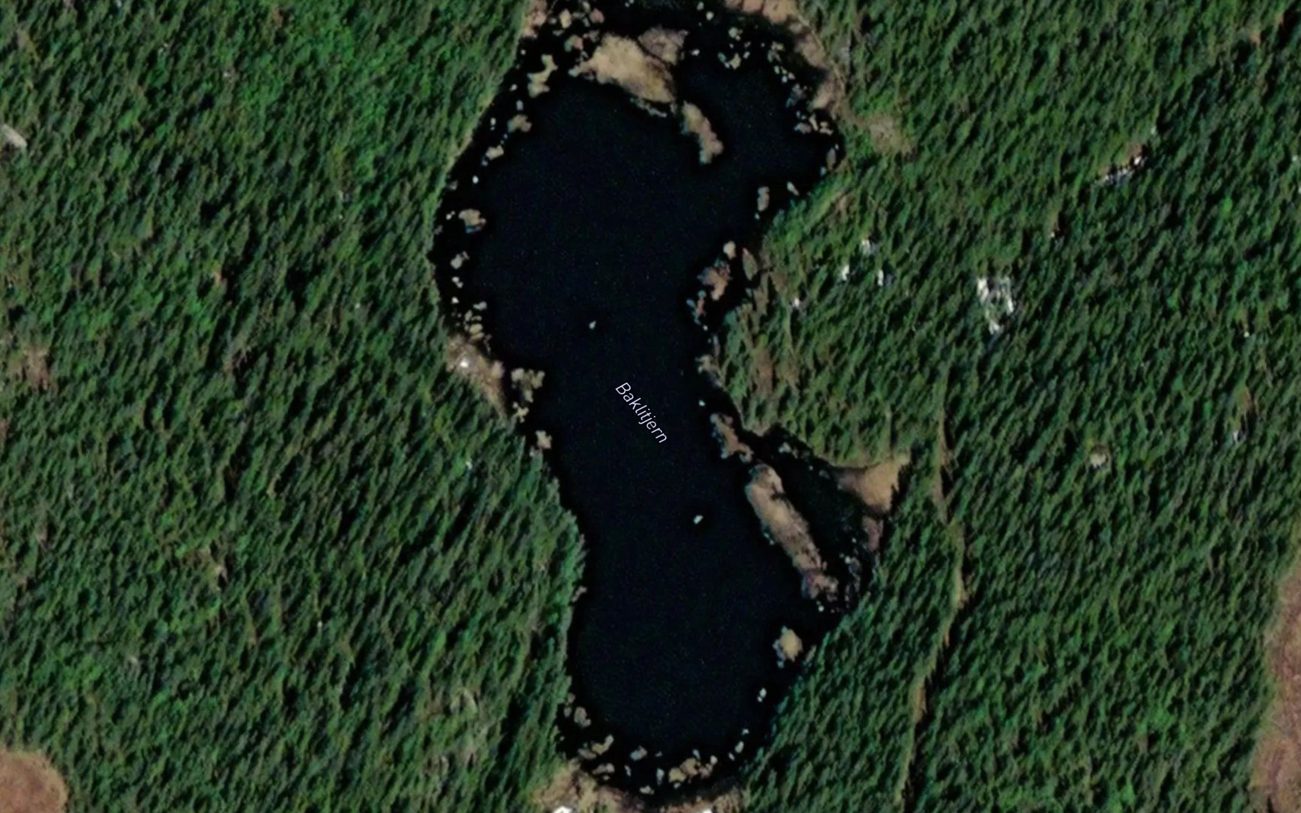 Baklitjernet
