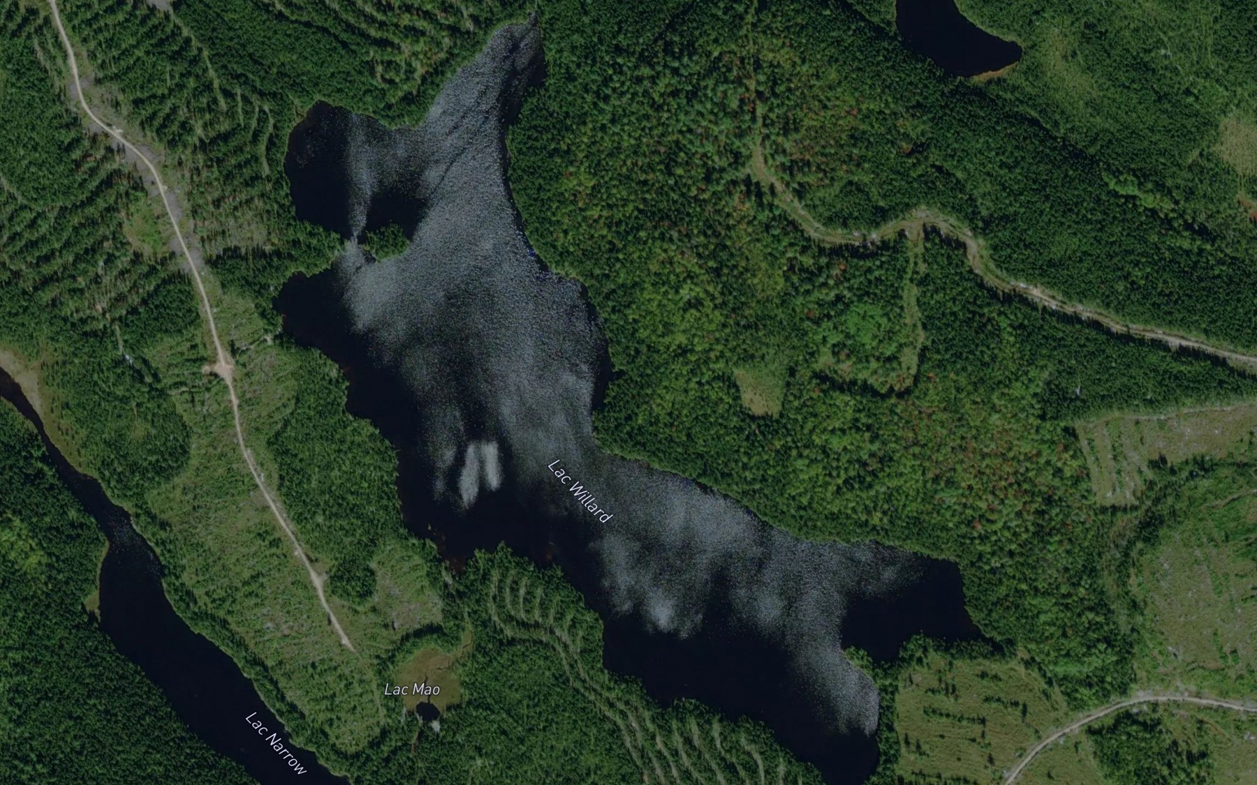 Satellite map of the Lac Willard