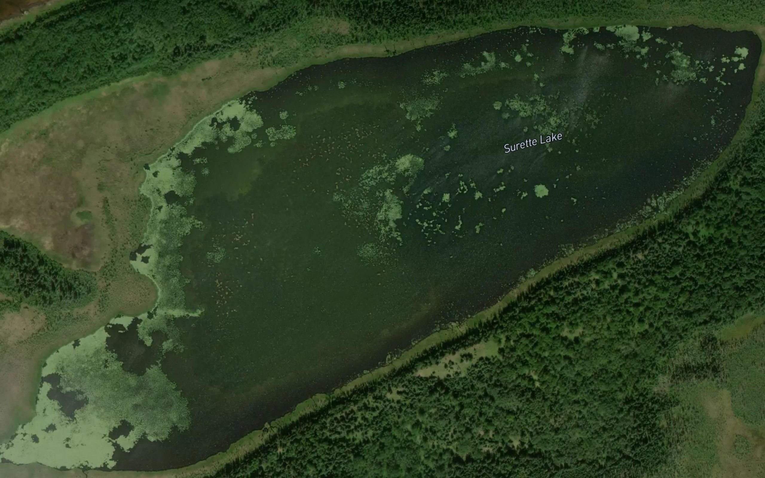 Surette Lake