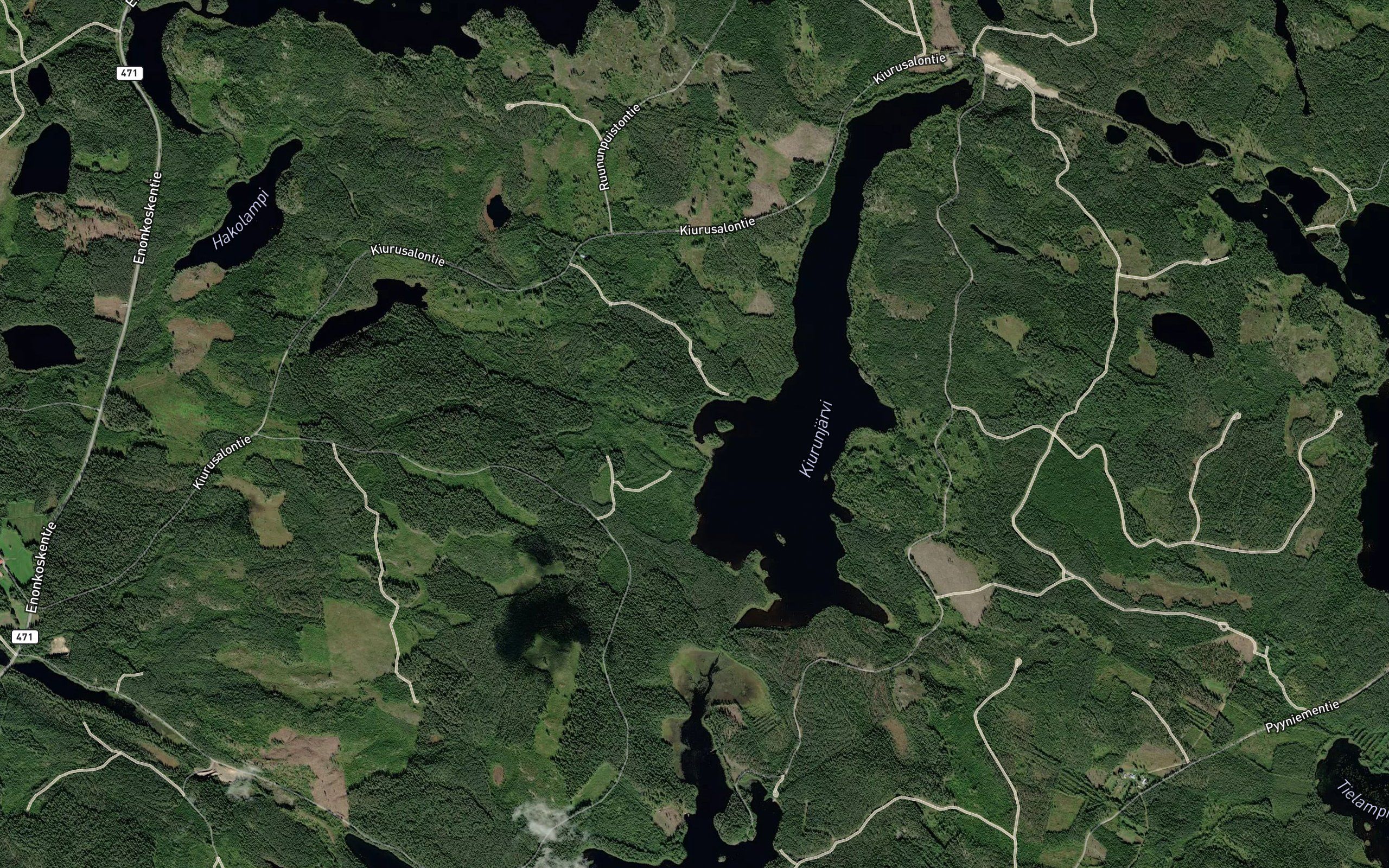 Haukilamminpuro