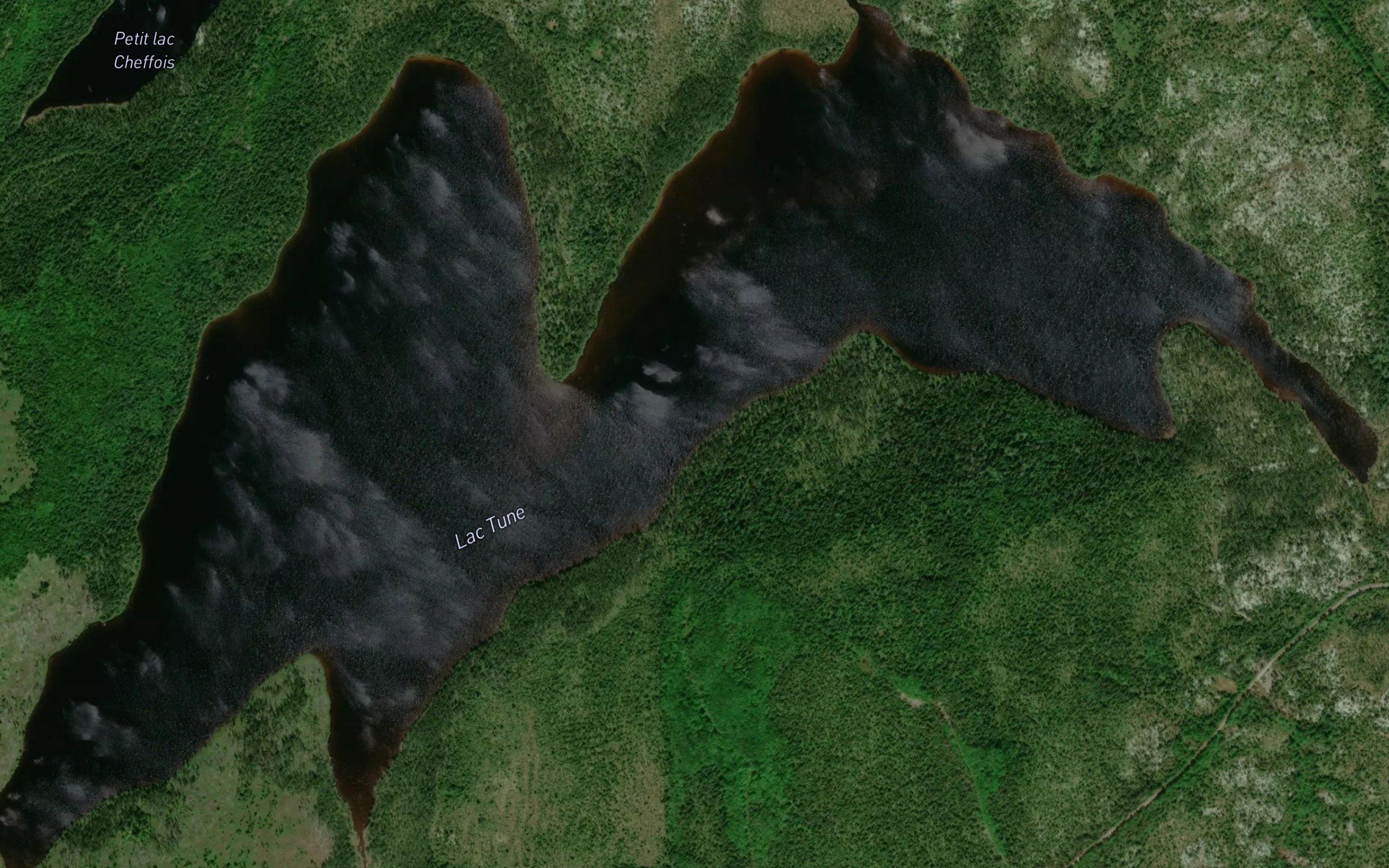 Lac Tune