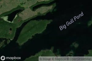 Big Gull Pond