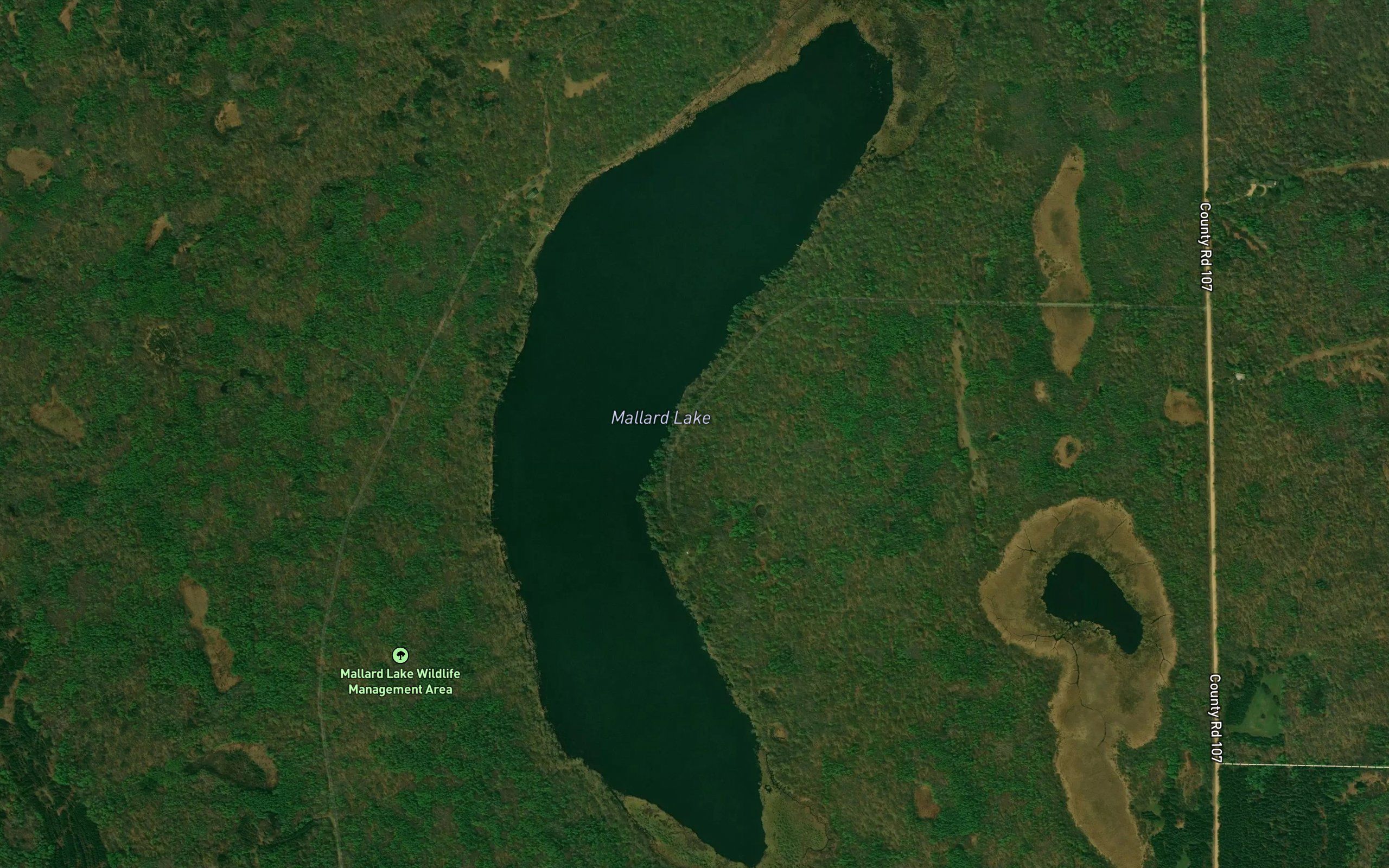 Mallard Lake