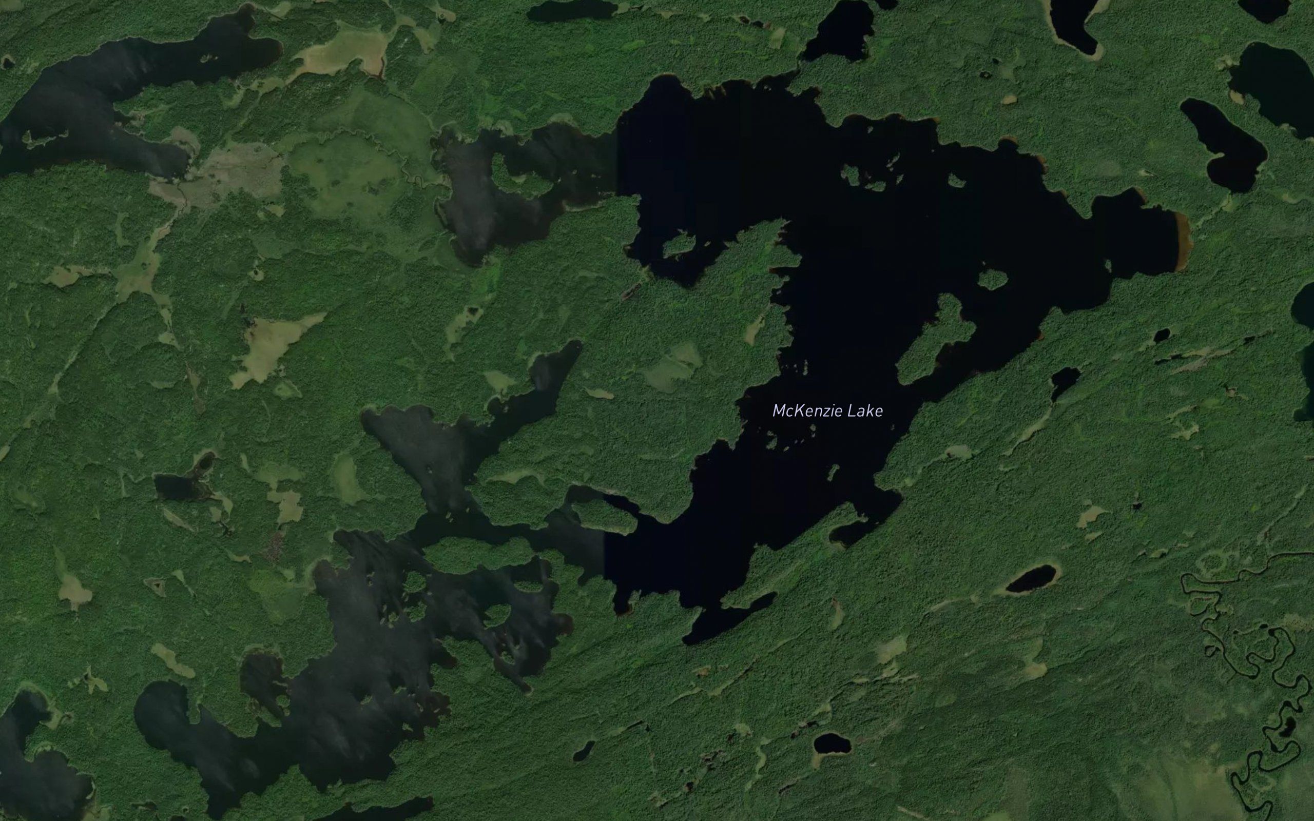 McKenzie Lake