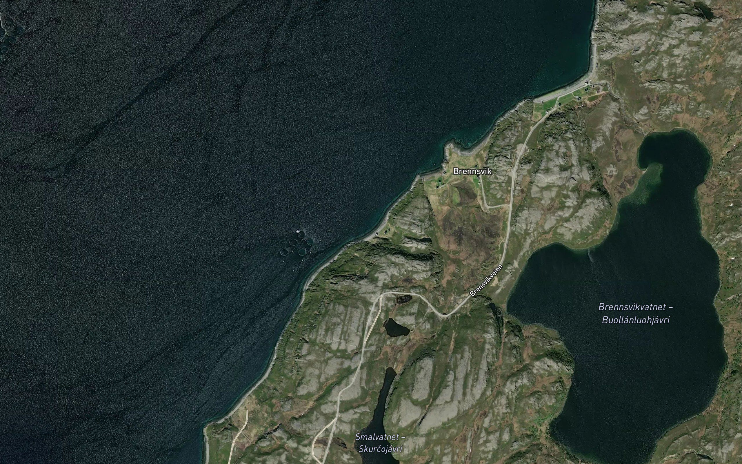 Steinbukta