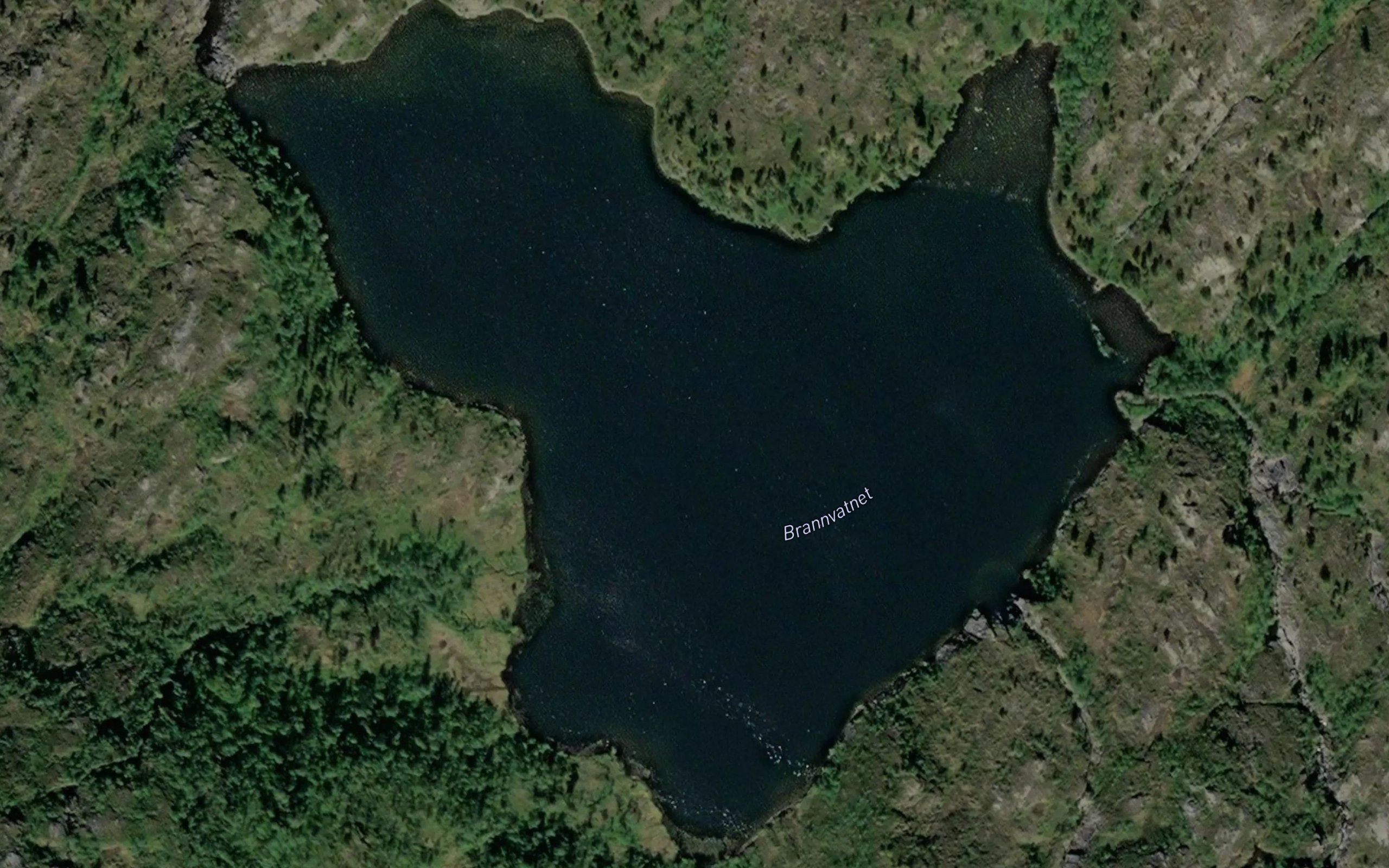 Brannvatnet