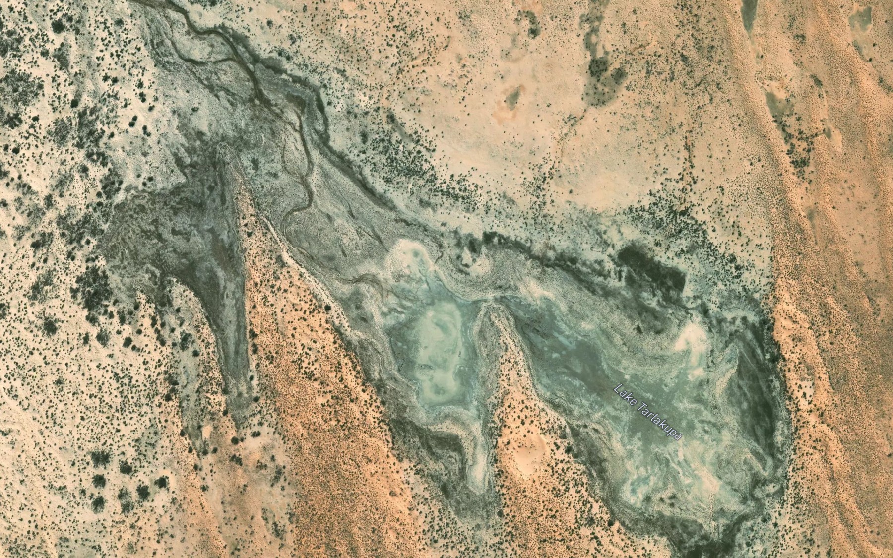 Satellite map of the Lake Tarlakupa