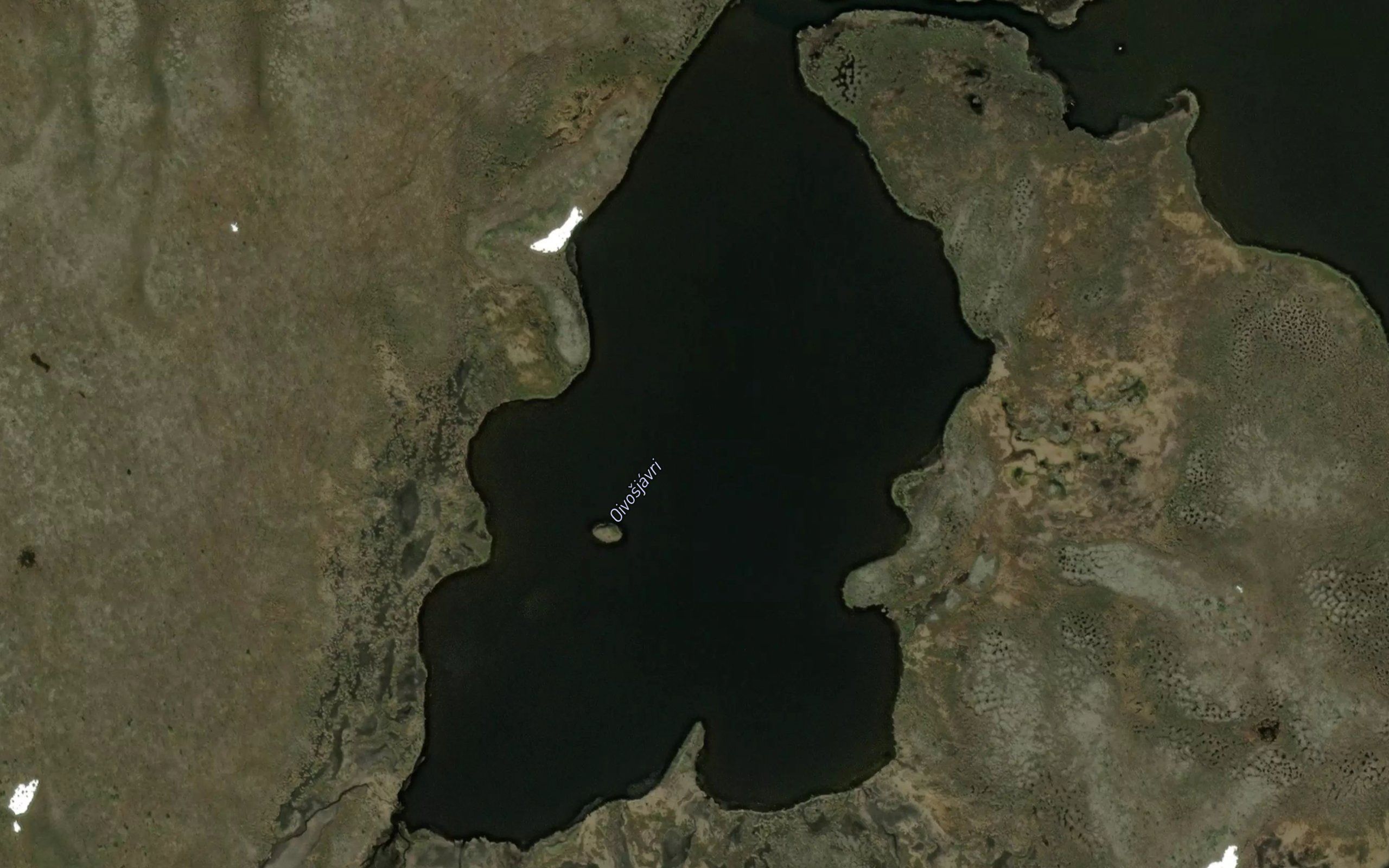 Oivosjavri