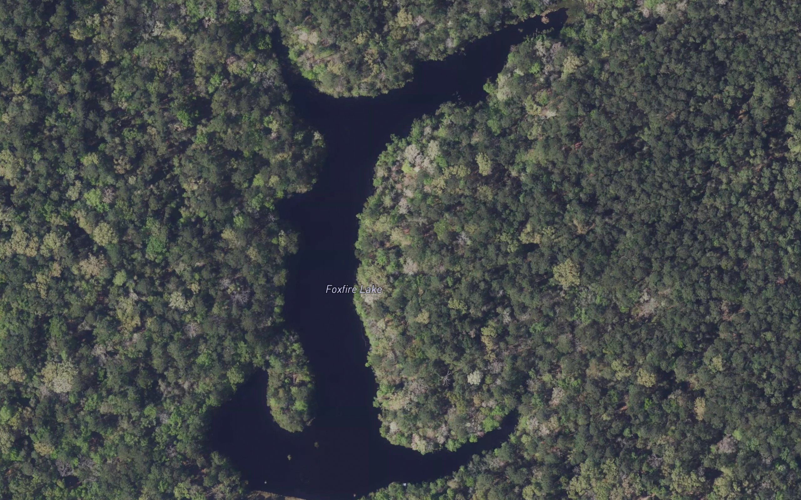 Foxfire Lake