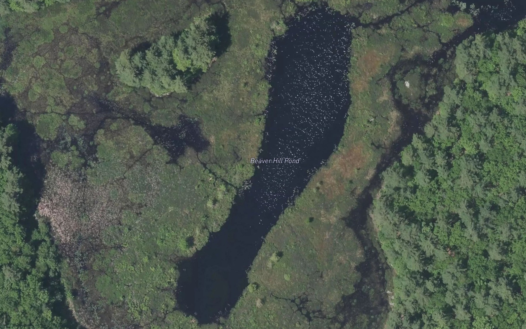 Satellite map of the Beaver Hill Pond