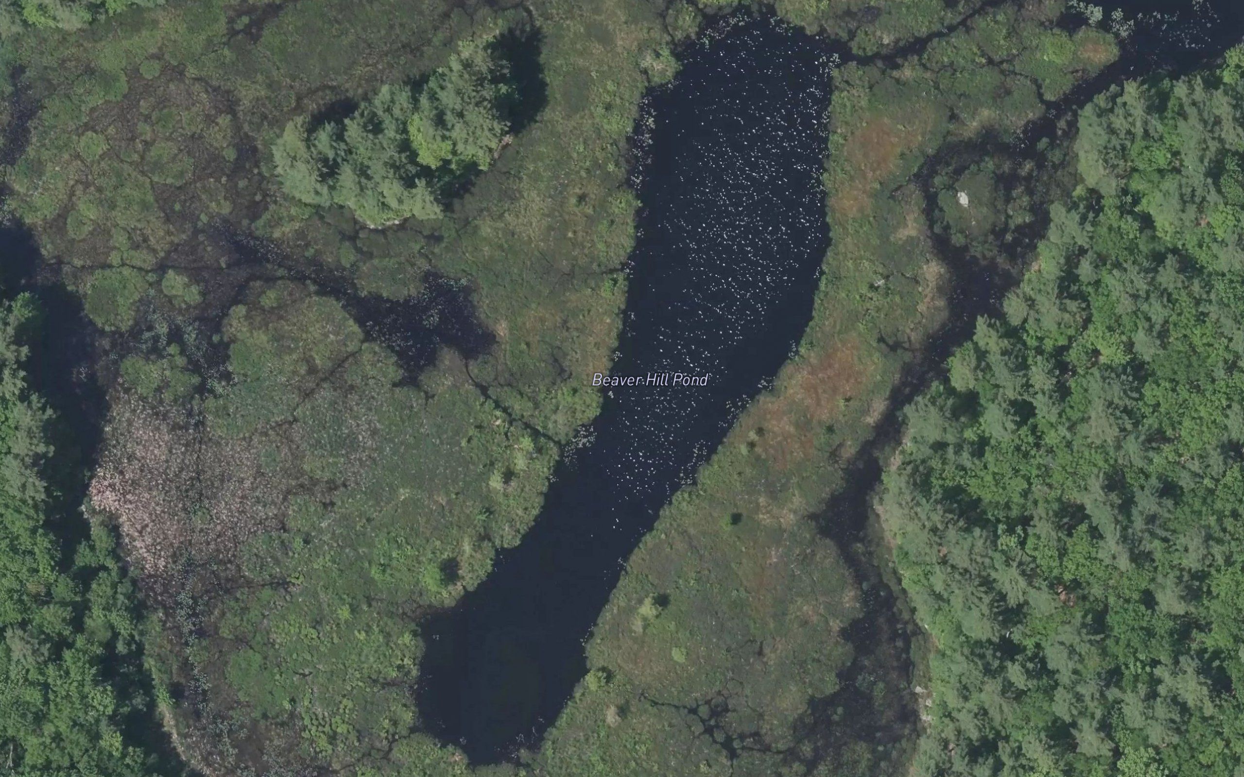Beaver Hill Pond